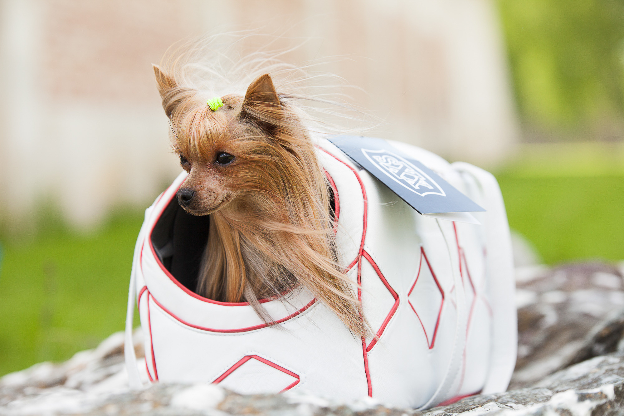 Рекламная съёмка. Фотограф Владимир Зиновьев