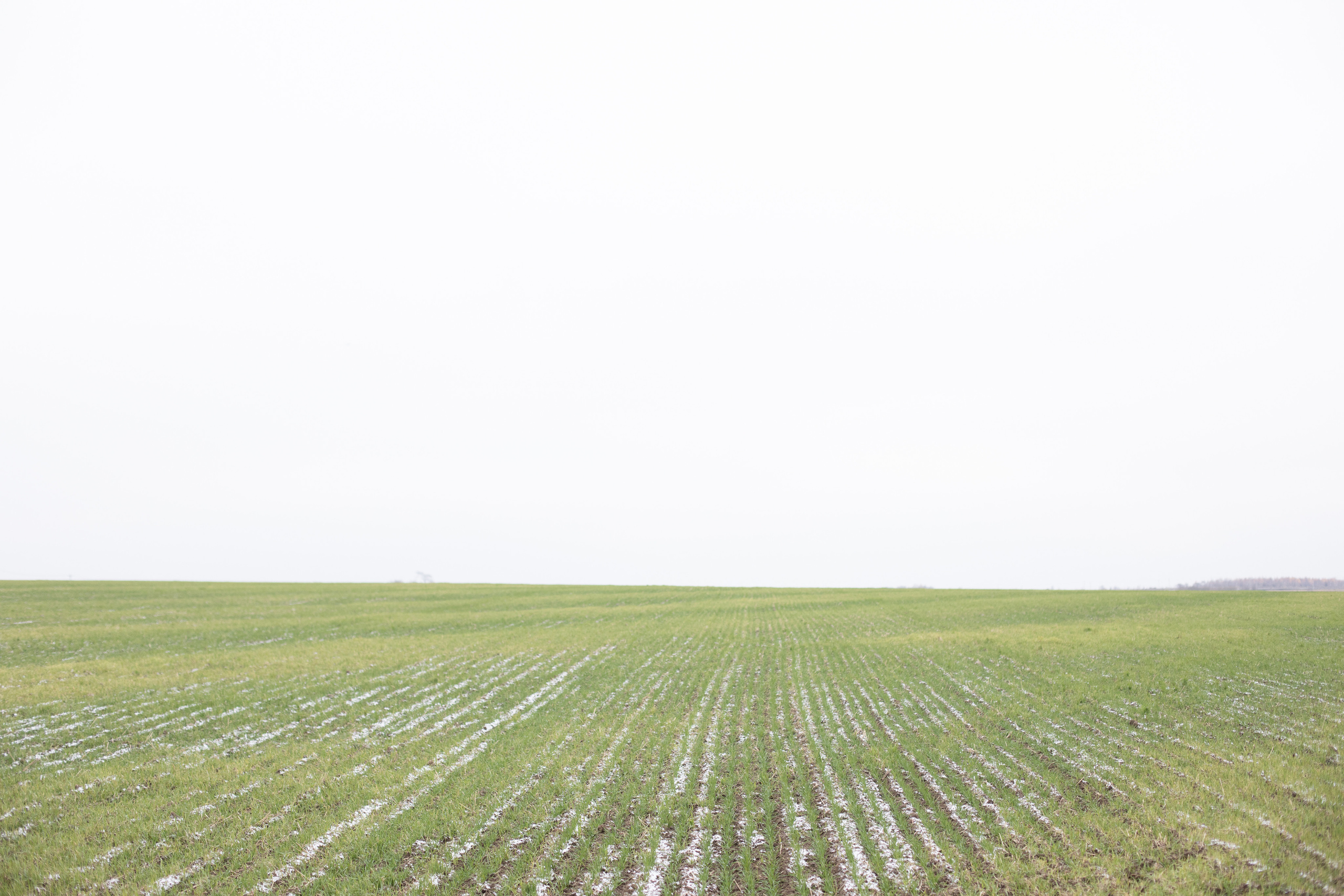 Алёна и Беркут. Фотограф Владимир Зиновьев