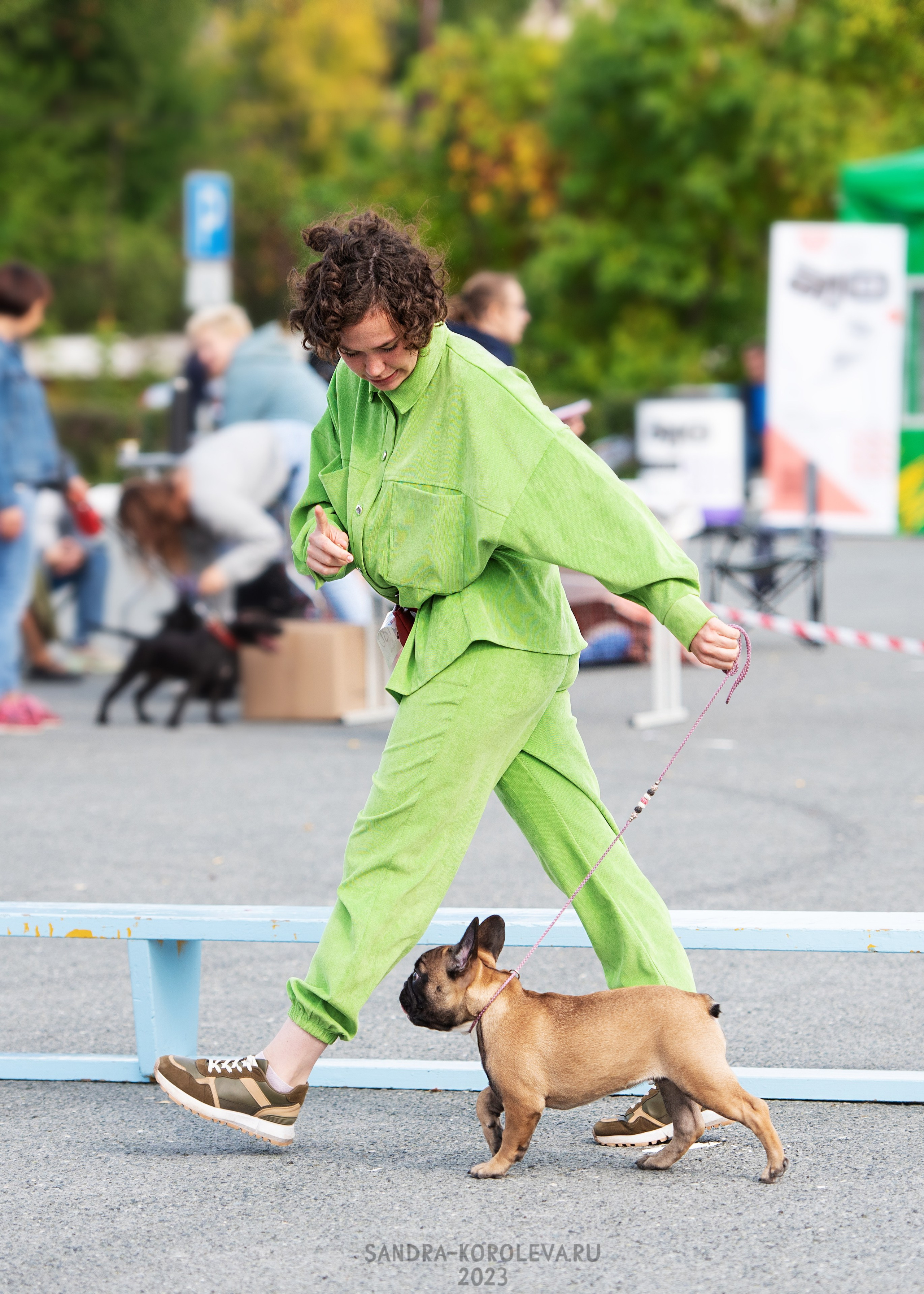 Выставка собак Тюмень 02.09.2023. Дог-фотограф в Тюмени Александра Королева