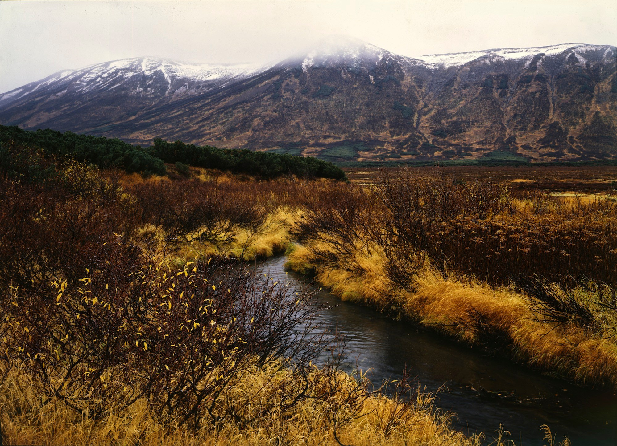 Камчатка. Кальдера Узон. ВАДИМ ГИППЕНРЕЙТЕР — ВЕЛИКИЙ ФОТОГРАФ ЗЕМЛИ РУССКОЙ