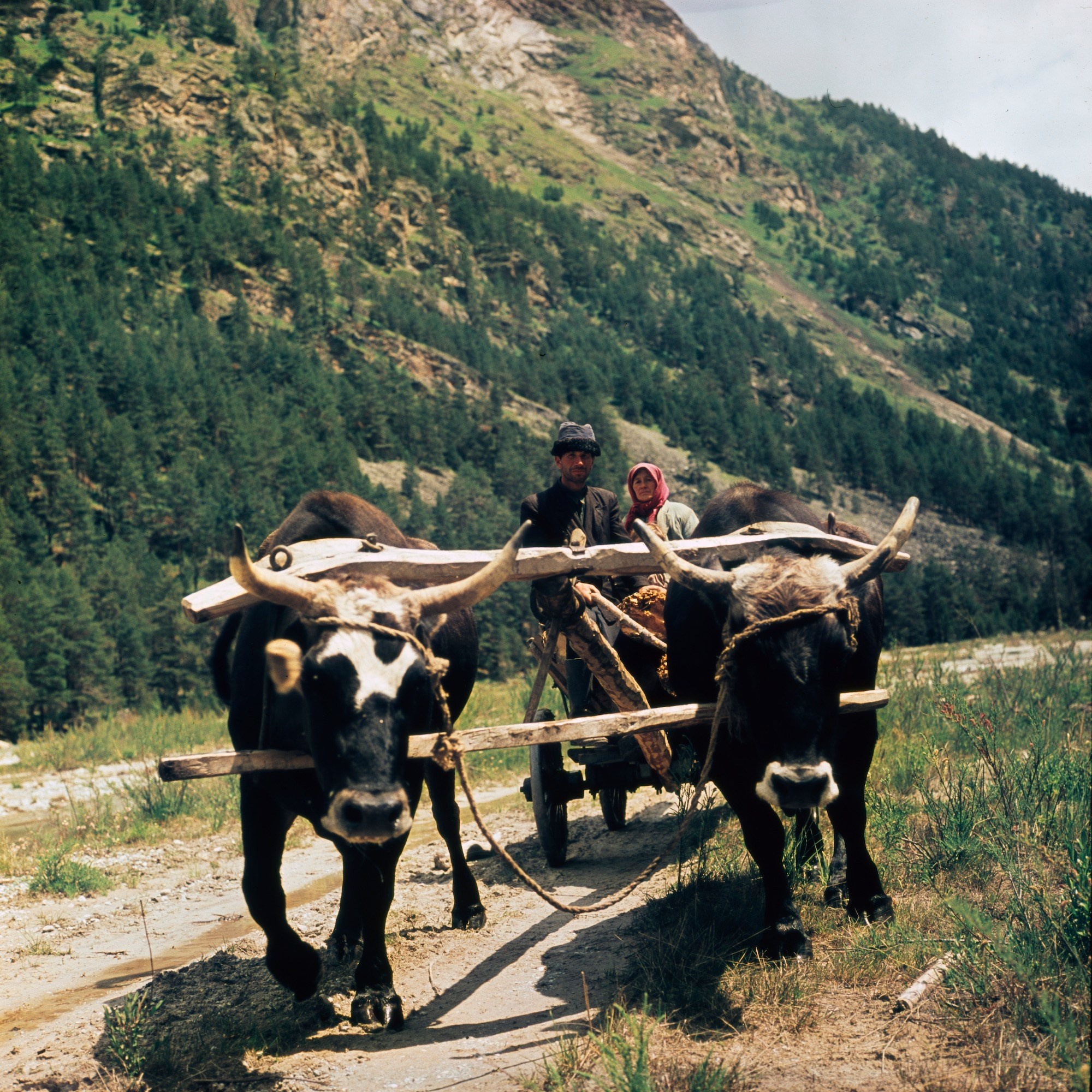Кавказ. ВАДИМ ГИППЕНРЕЙТЕР — ВЕЛИКИЙ ФОТОГРАФ ЗЕМЛИ РУССКОЙ