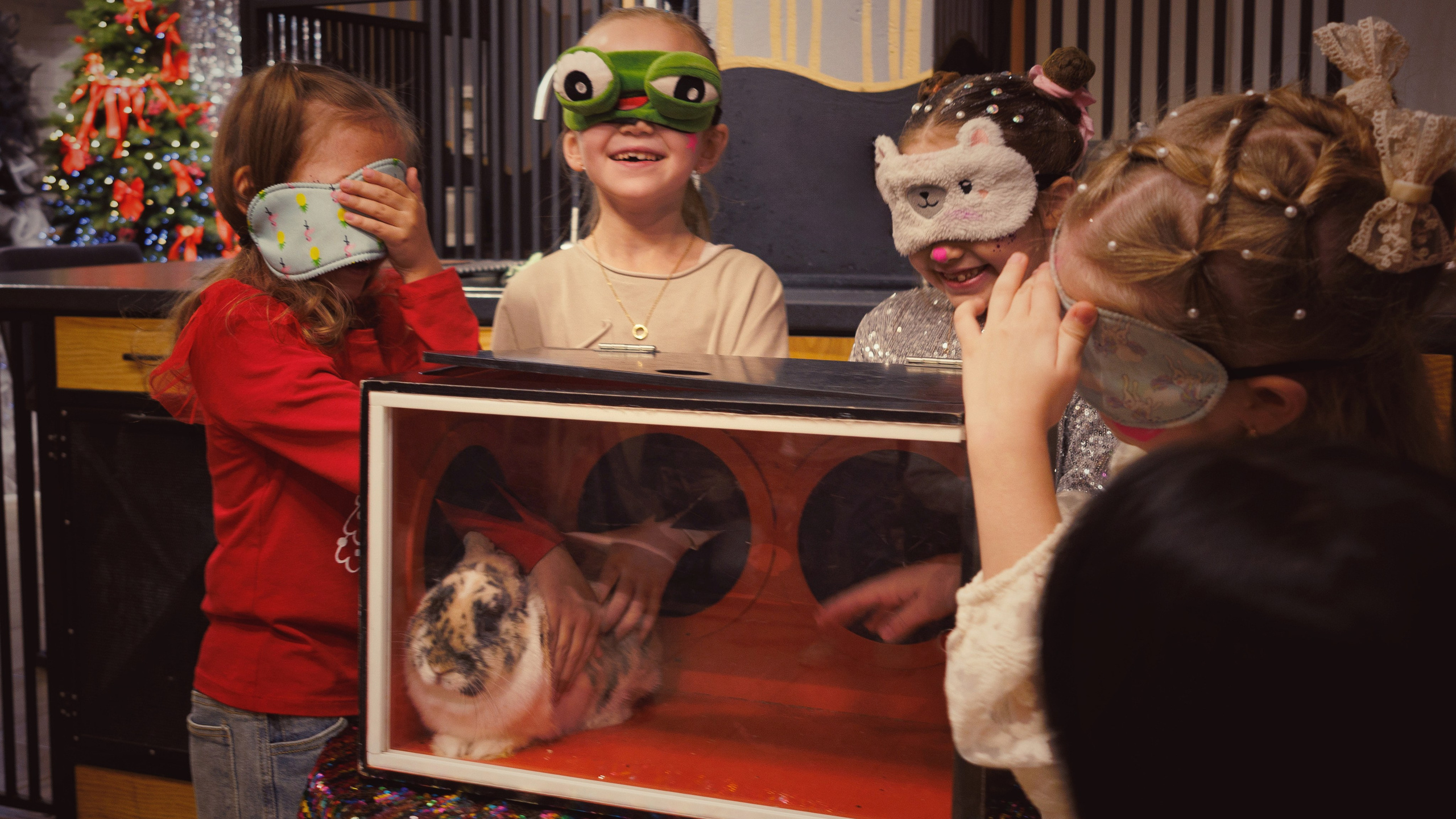 Мероприятия. Aniqiina