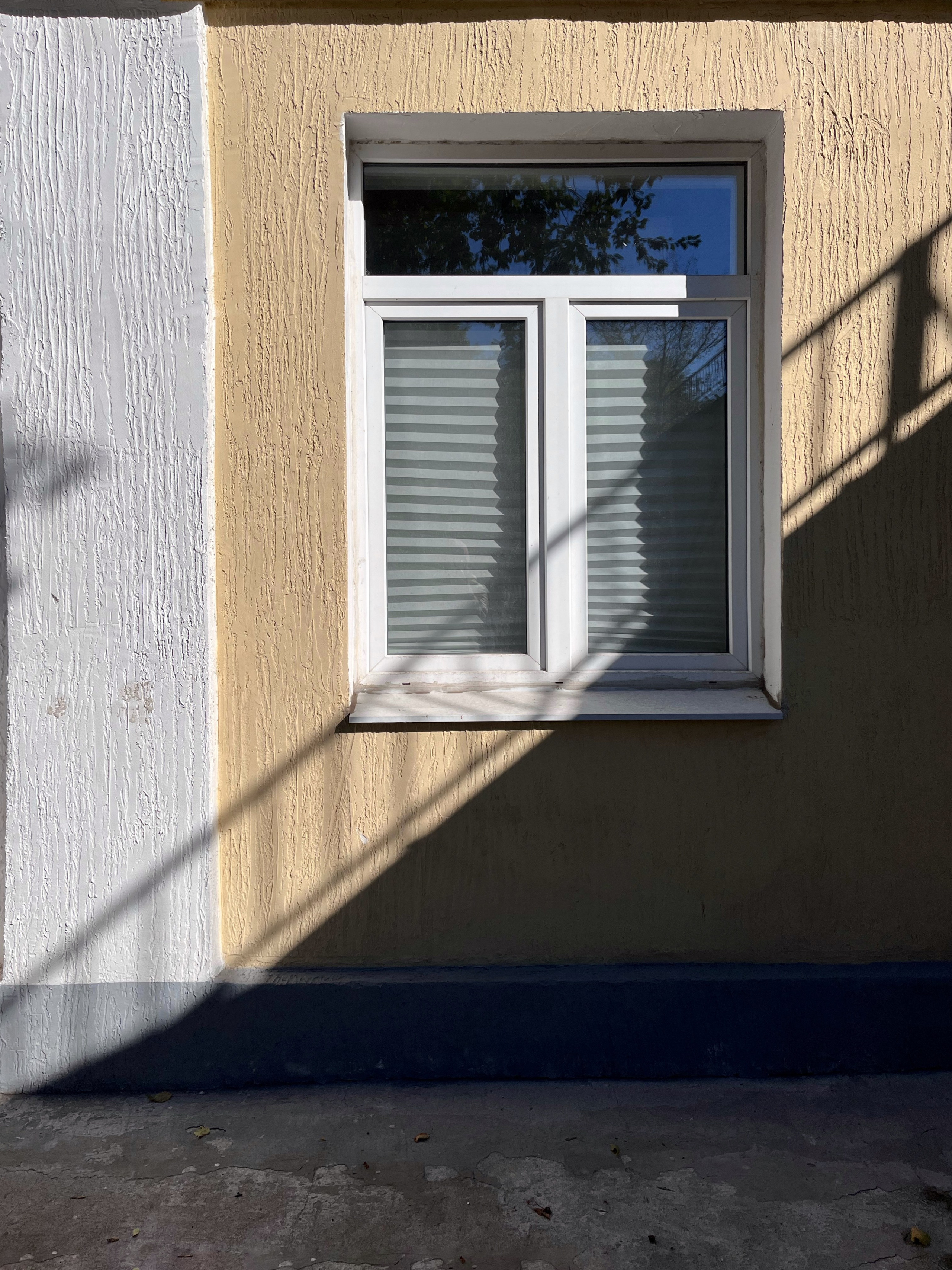 Shadows. Katyavasileva