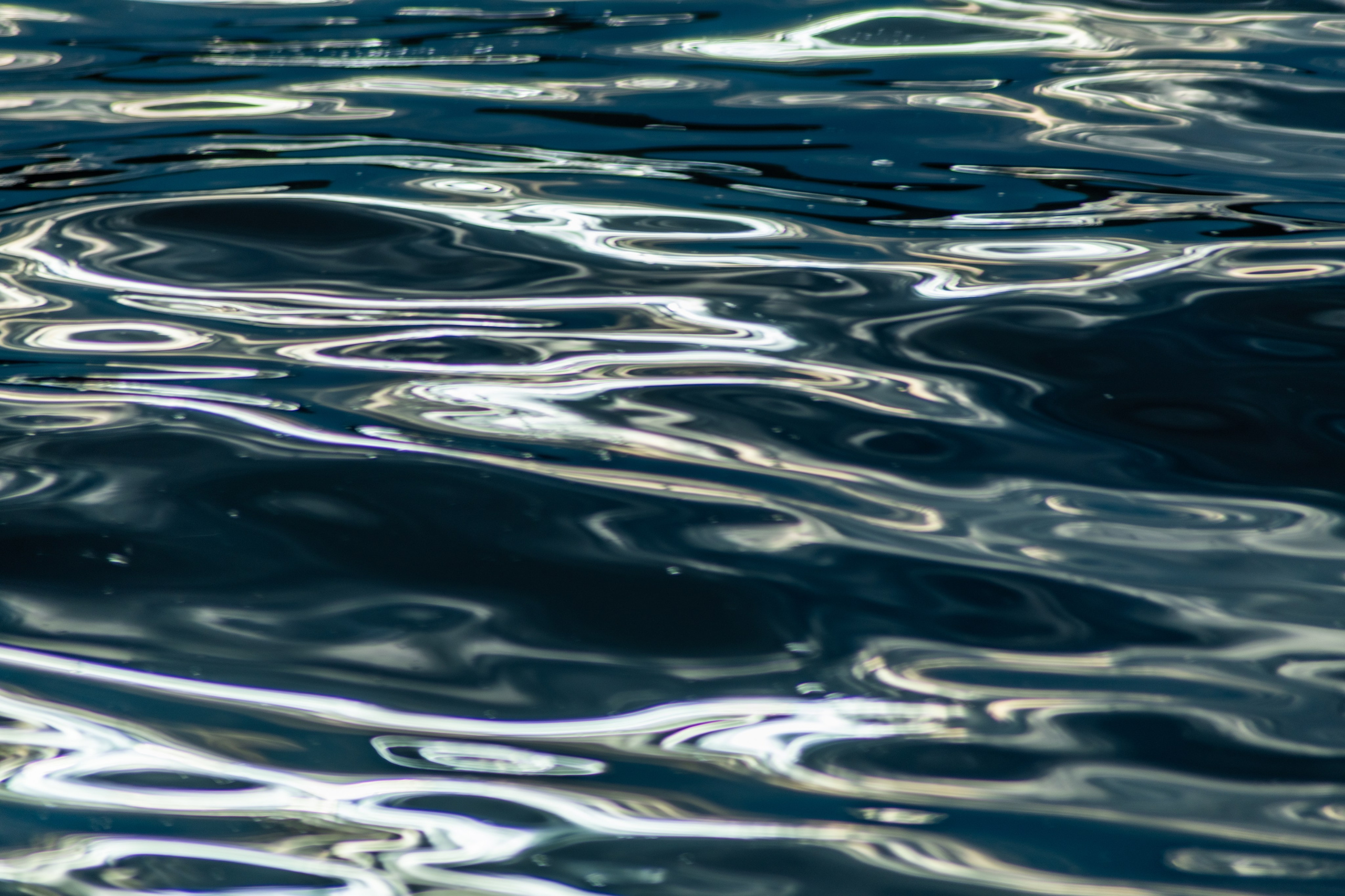 Природа Самарской области в кадре. Дикие степи, Жигулёвские горы и волжские просторы — авторские фотографии уникальных ландшафтов. Фотограф Самара — репортажная, свадебная, интерьерная съёмка от Ильи Петрова, профессионала своего дела