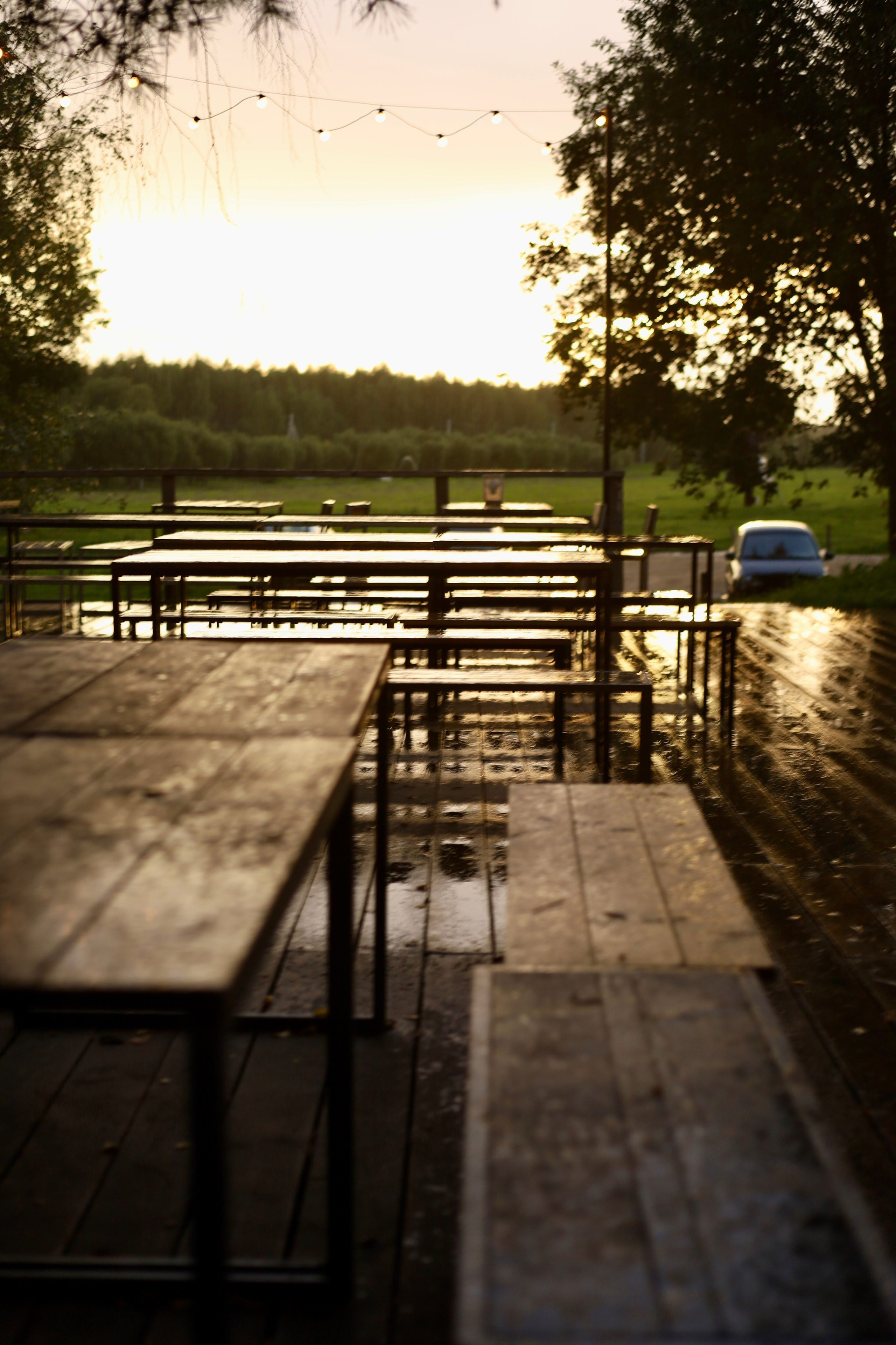 Пейзаж. Фотографии души