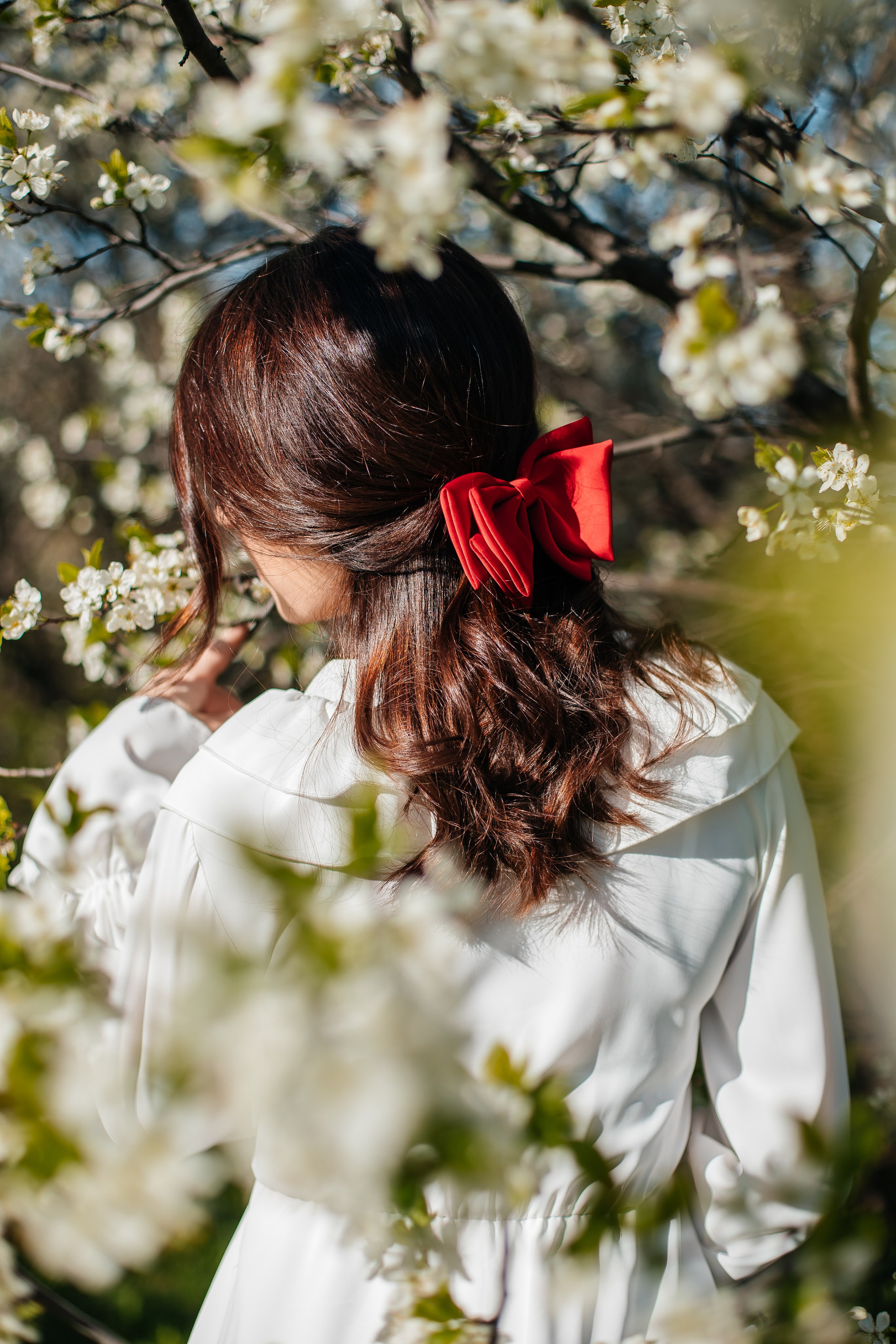 Вишня. Анастасия Давыдова