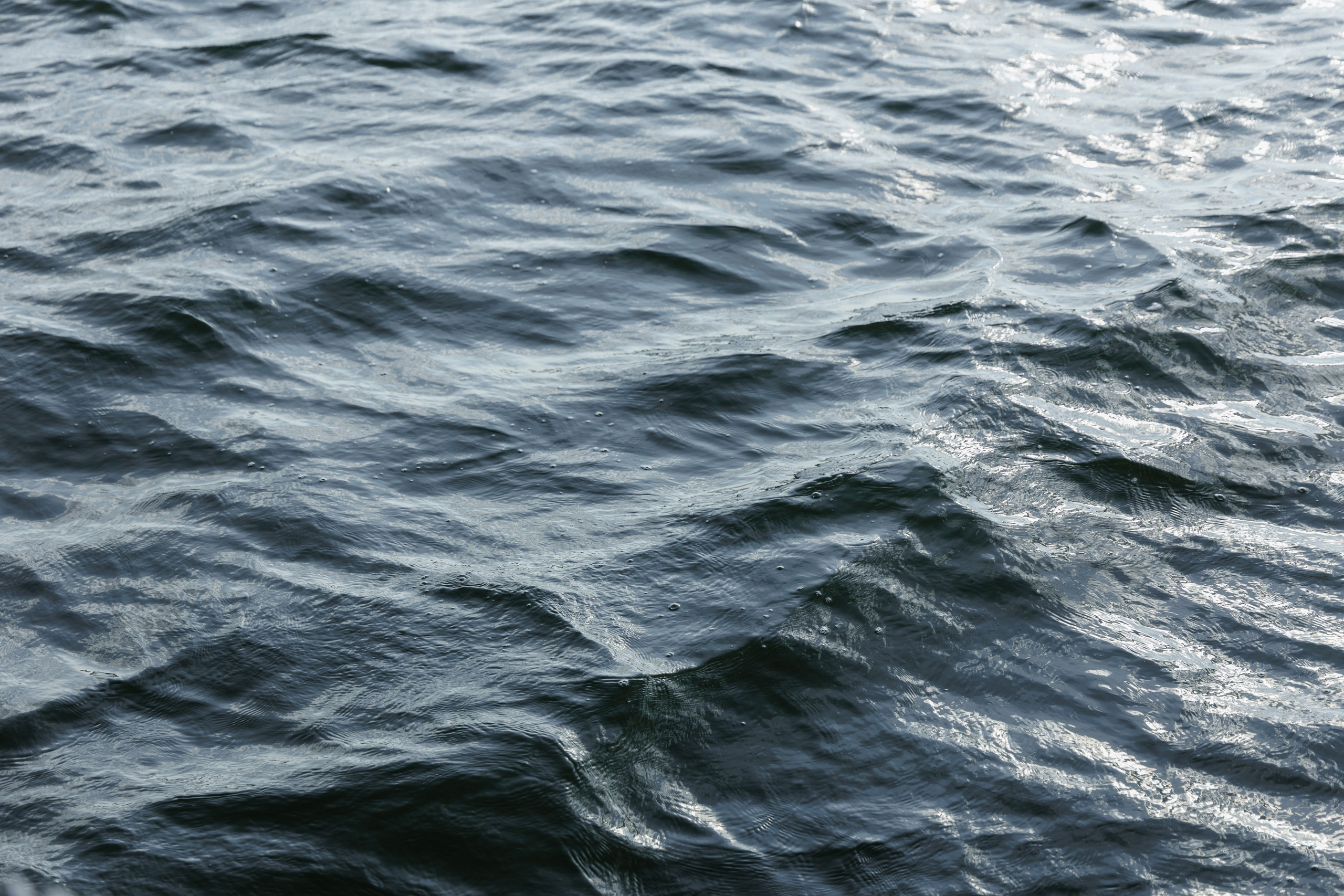 Катя & Никита. Свадебный и семейный фотограф Татьяна Селезнева