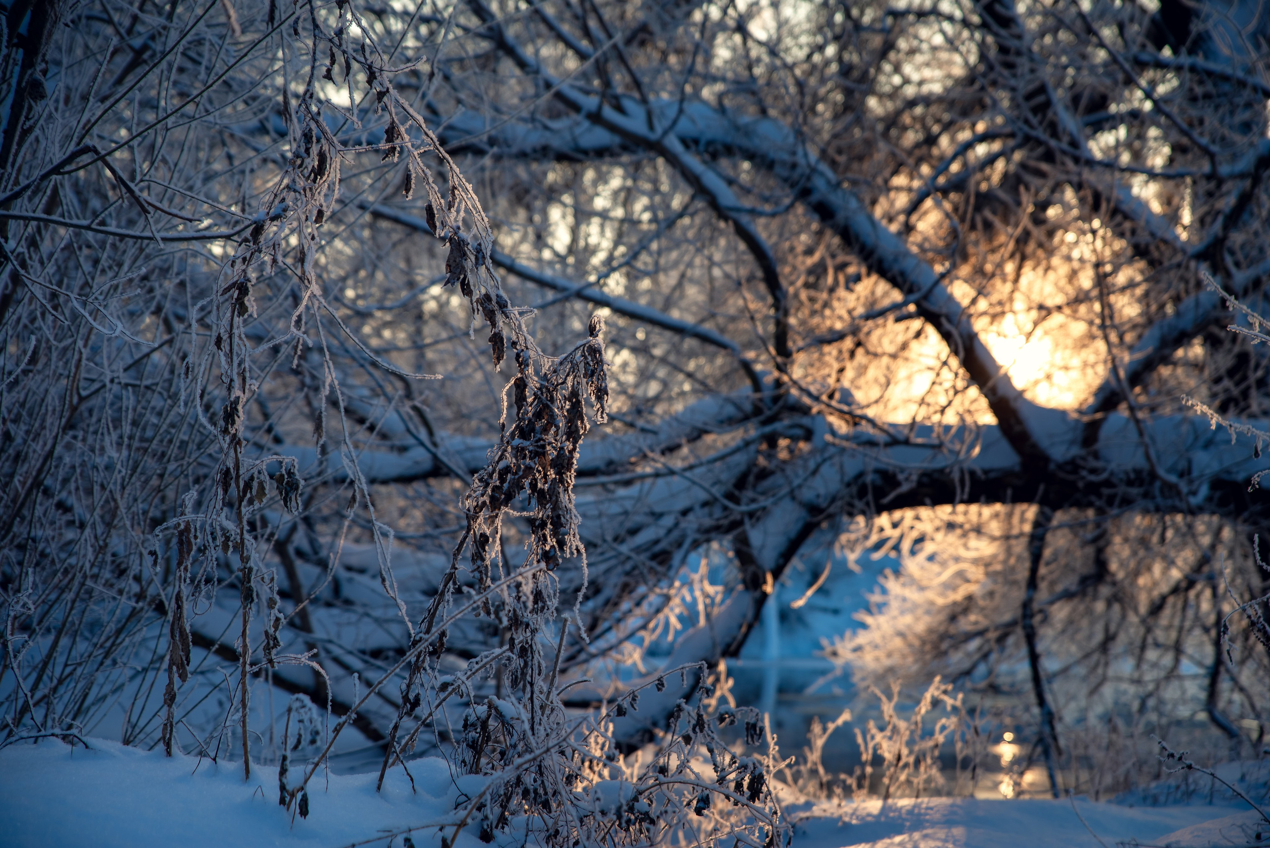 Зимушка зима. Фотограф Крещение Венчание Москва