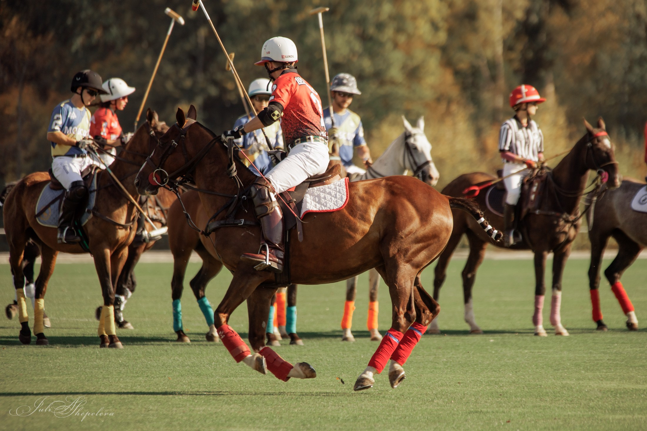 Осенний кубок по конному поло. Детская Конная фотография в Москве Юлия Шепелева