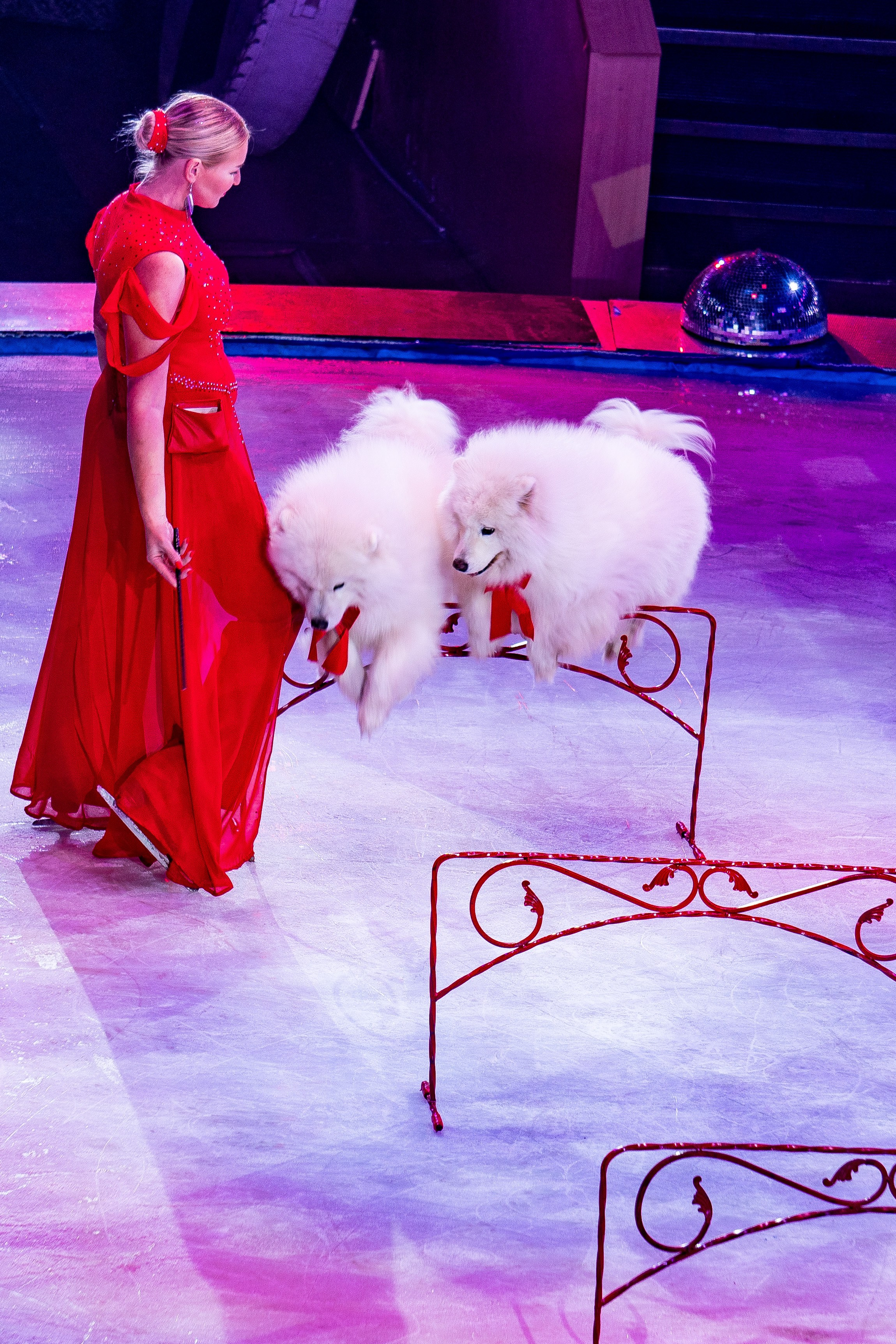 Цирк на льду «Айсберг» в Луганске. Фотограф в РФ и ЛНР Юлия Федосеева