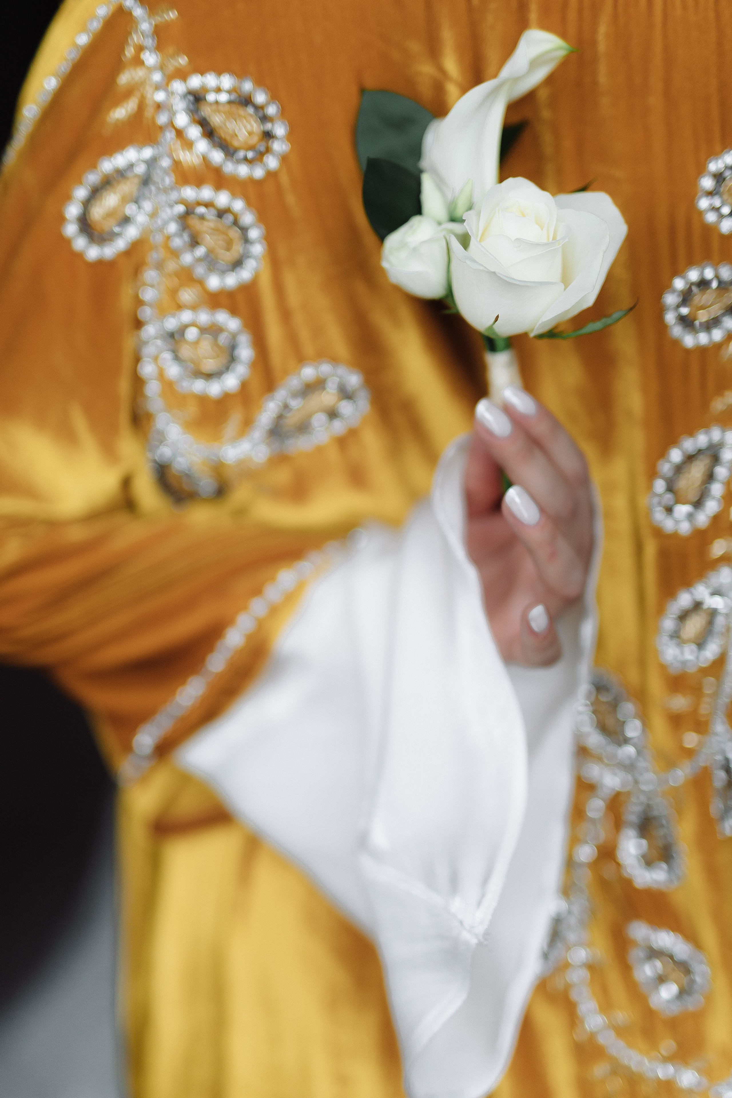 Свадьба Александра и Сойли. Фотограф Кольчугино/Владимир/Москва Елизавета Иода