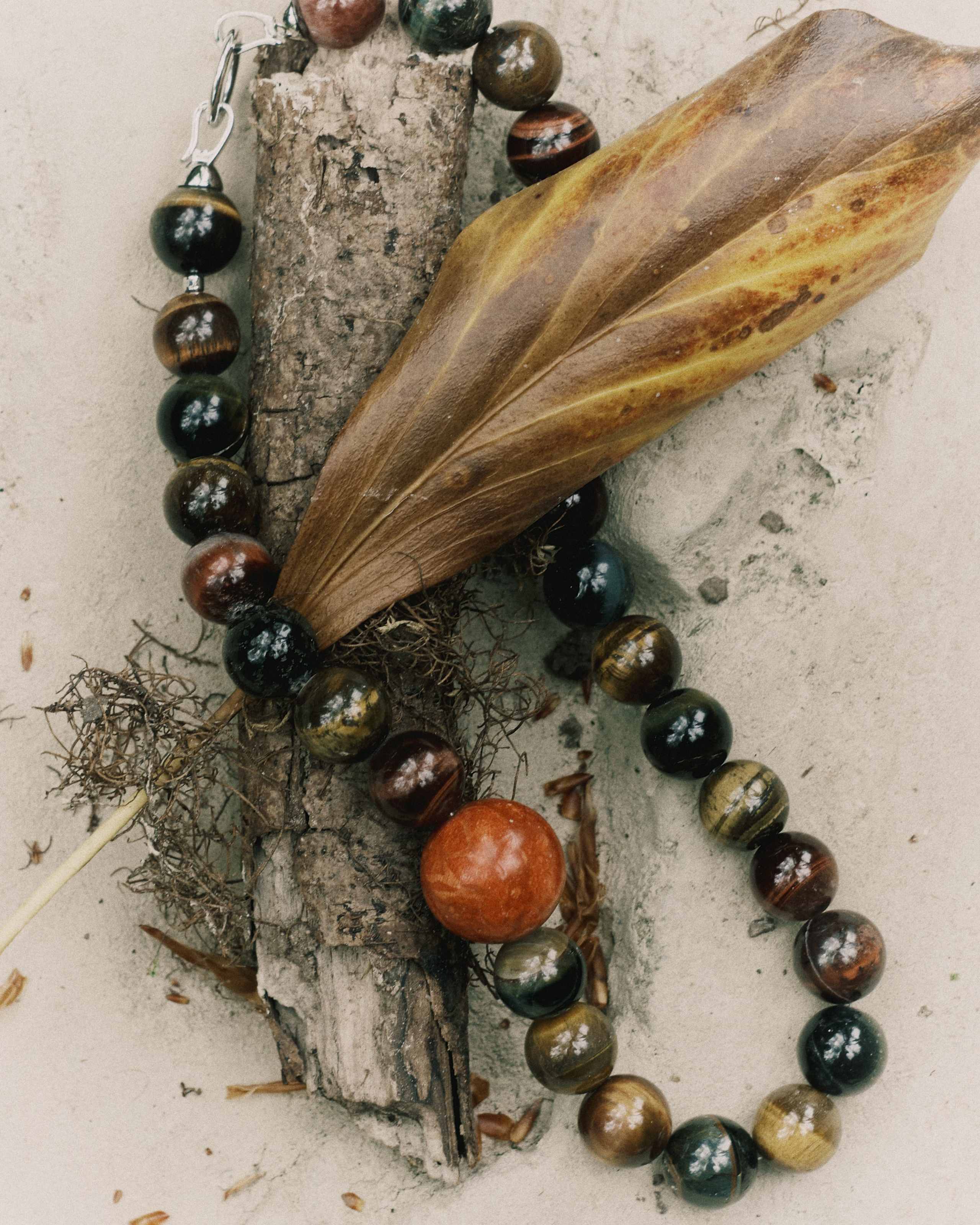 Content for OMNIS. DISEMICHASNOVA