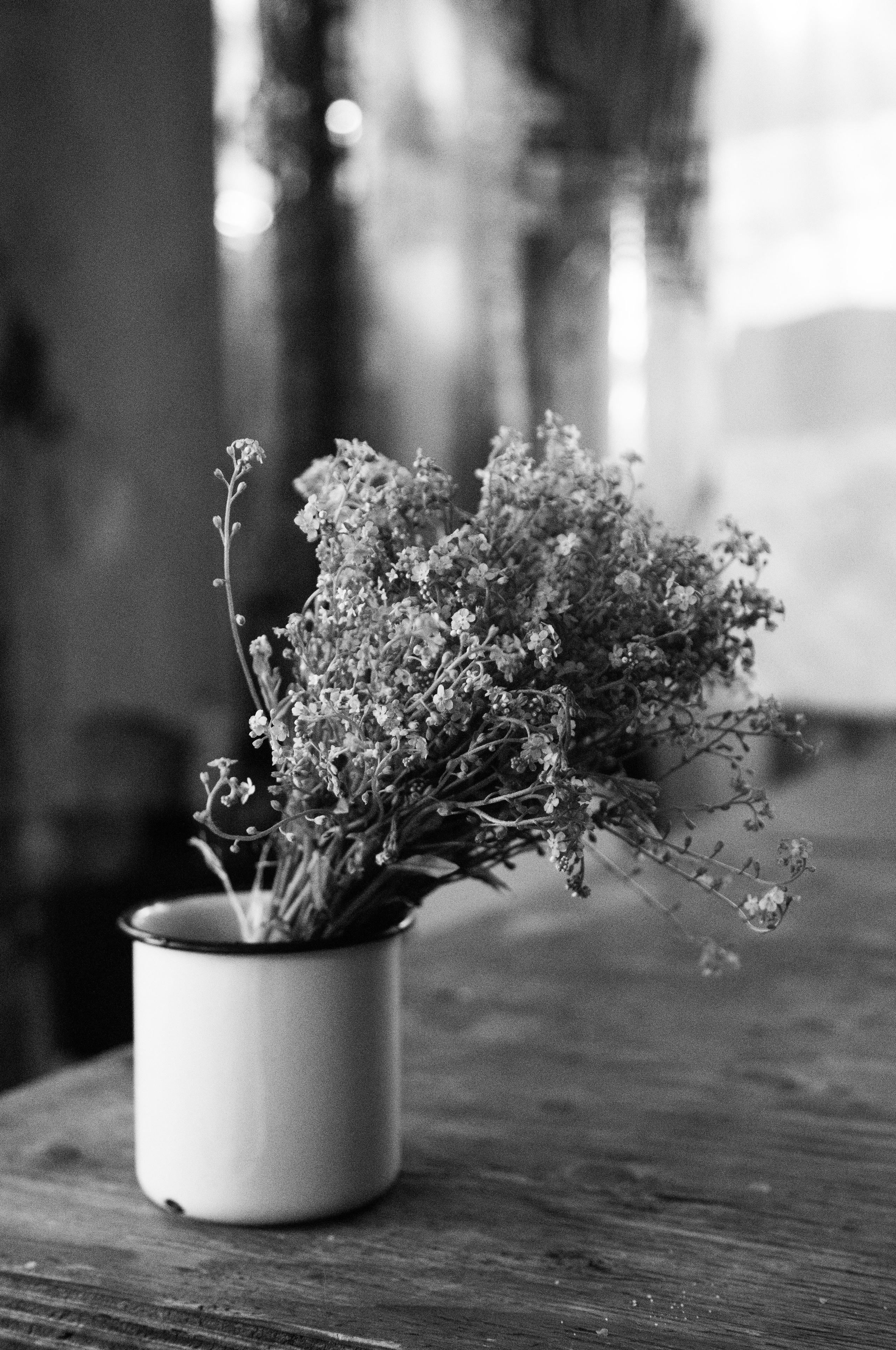 Картинки. Сандра Ковалева | ЧБ фотограф