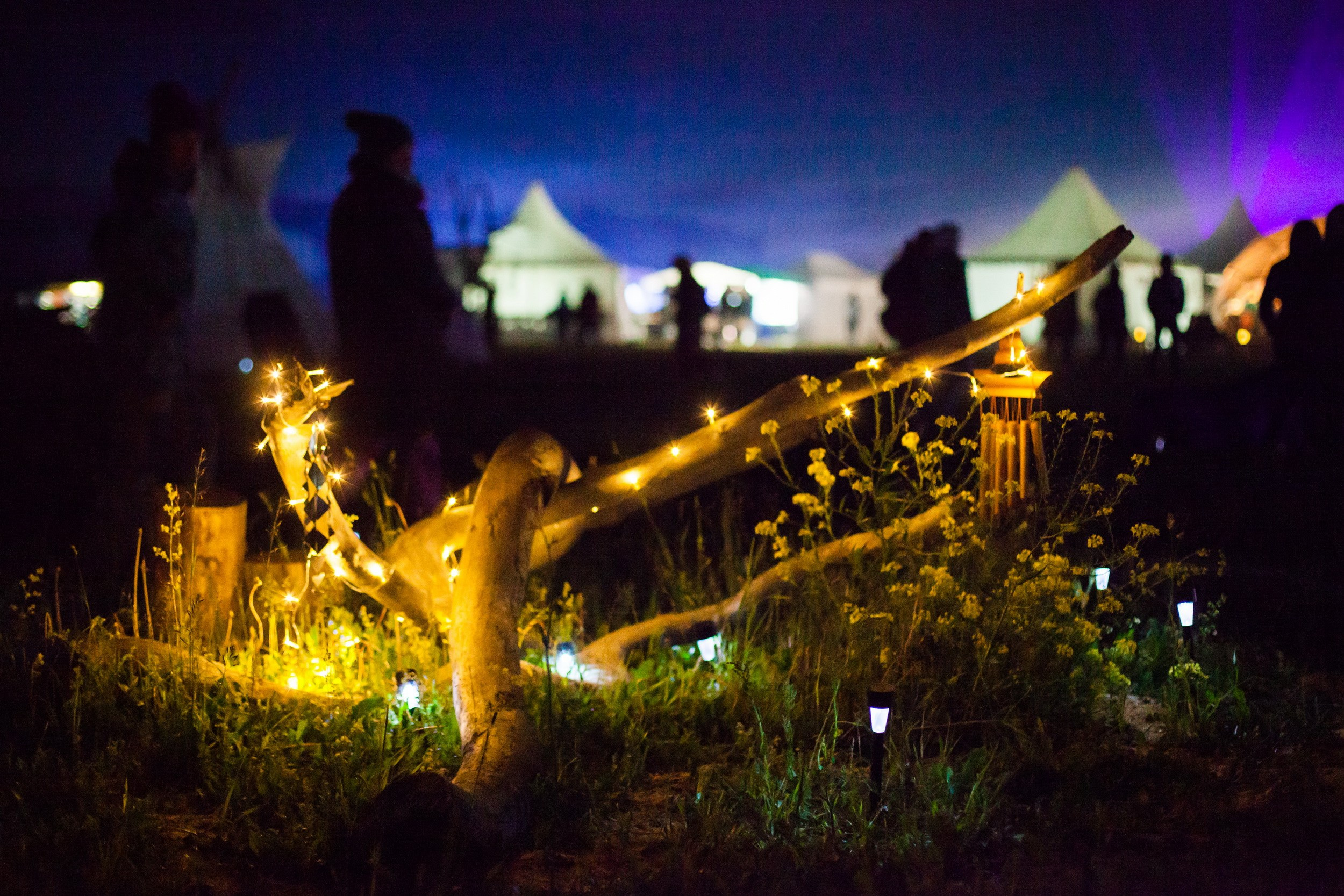 2018. Репортажный фотограф Алексей Пирязев