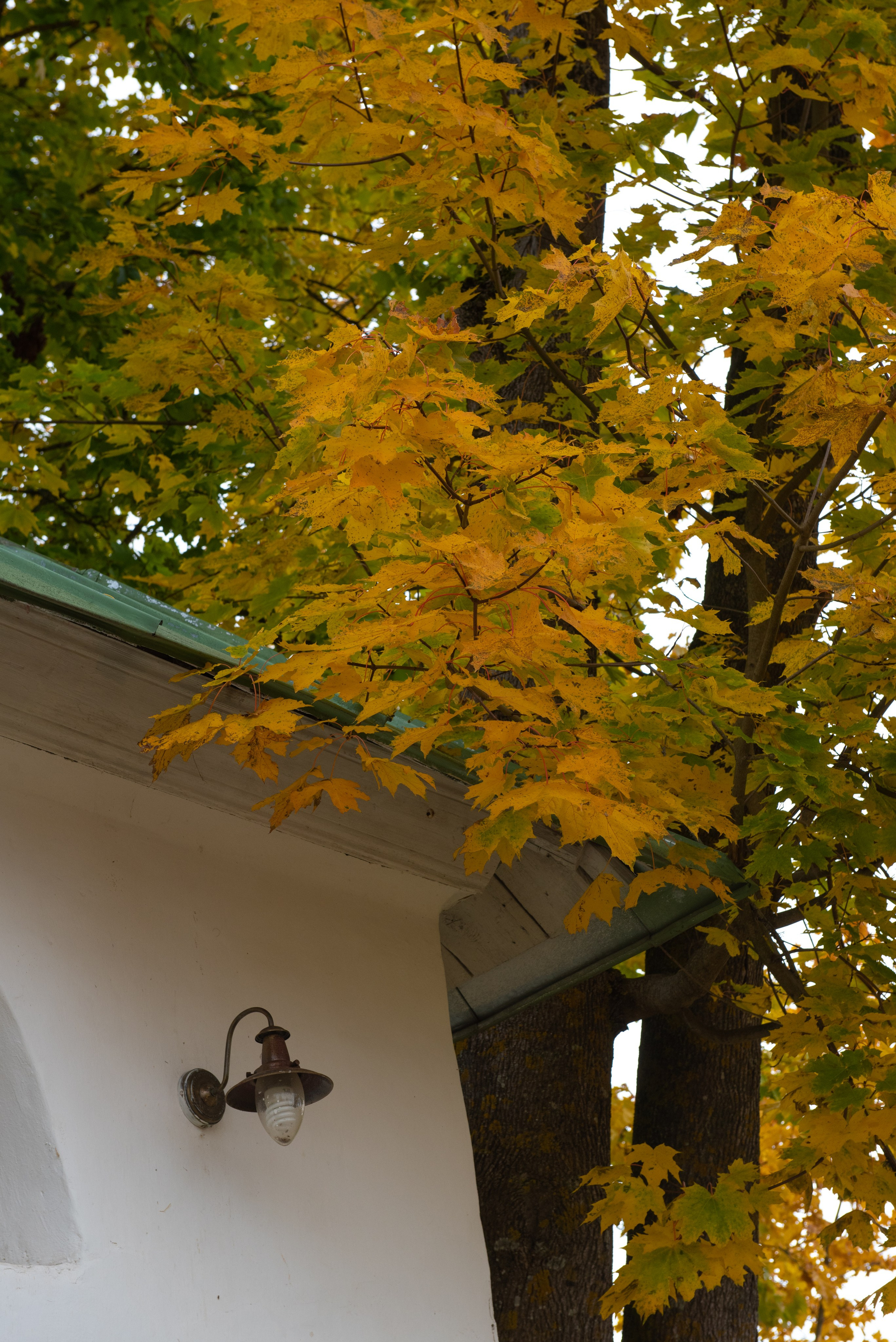 Изборск. Портретный и архитектурный фотограф в Москве и Санкт-Петербурге