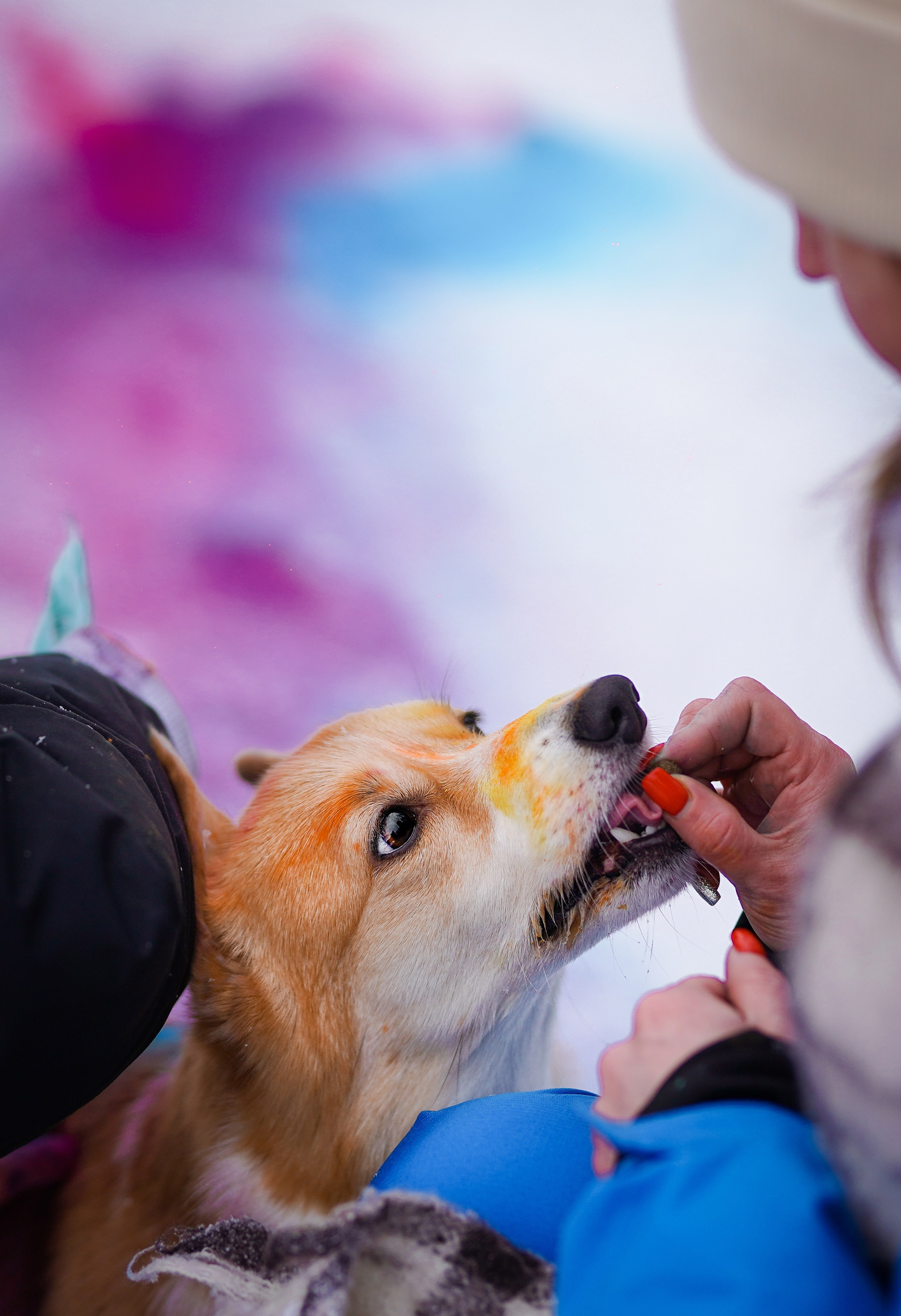 Кристина и Лаки. Фотограф-анималист в Санкт-Петербурге Яна Мартынова