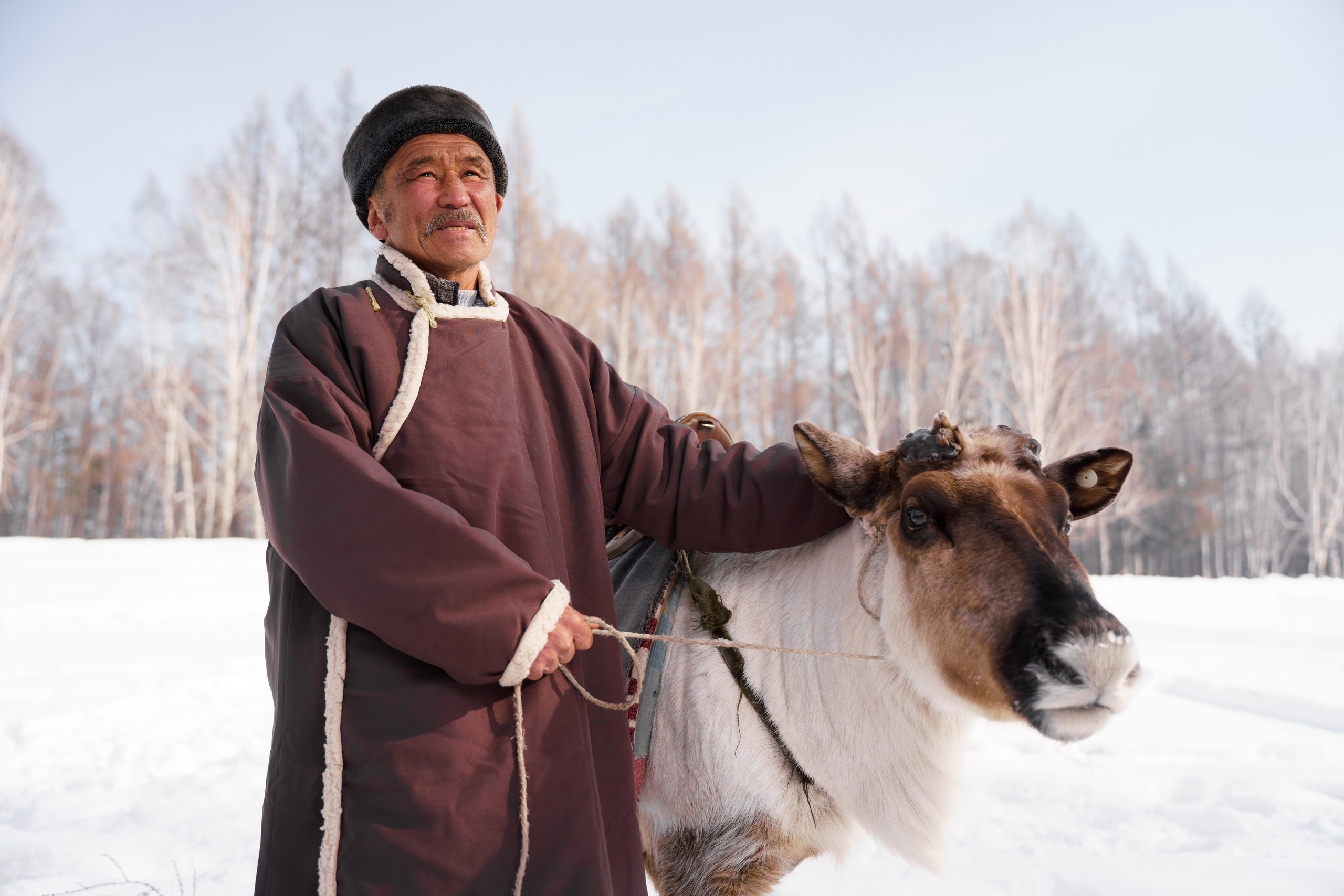 В олене жизнь. Фотограф в Красноярске Нерозя Александр. Пейзаж, природа, портрет
