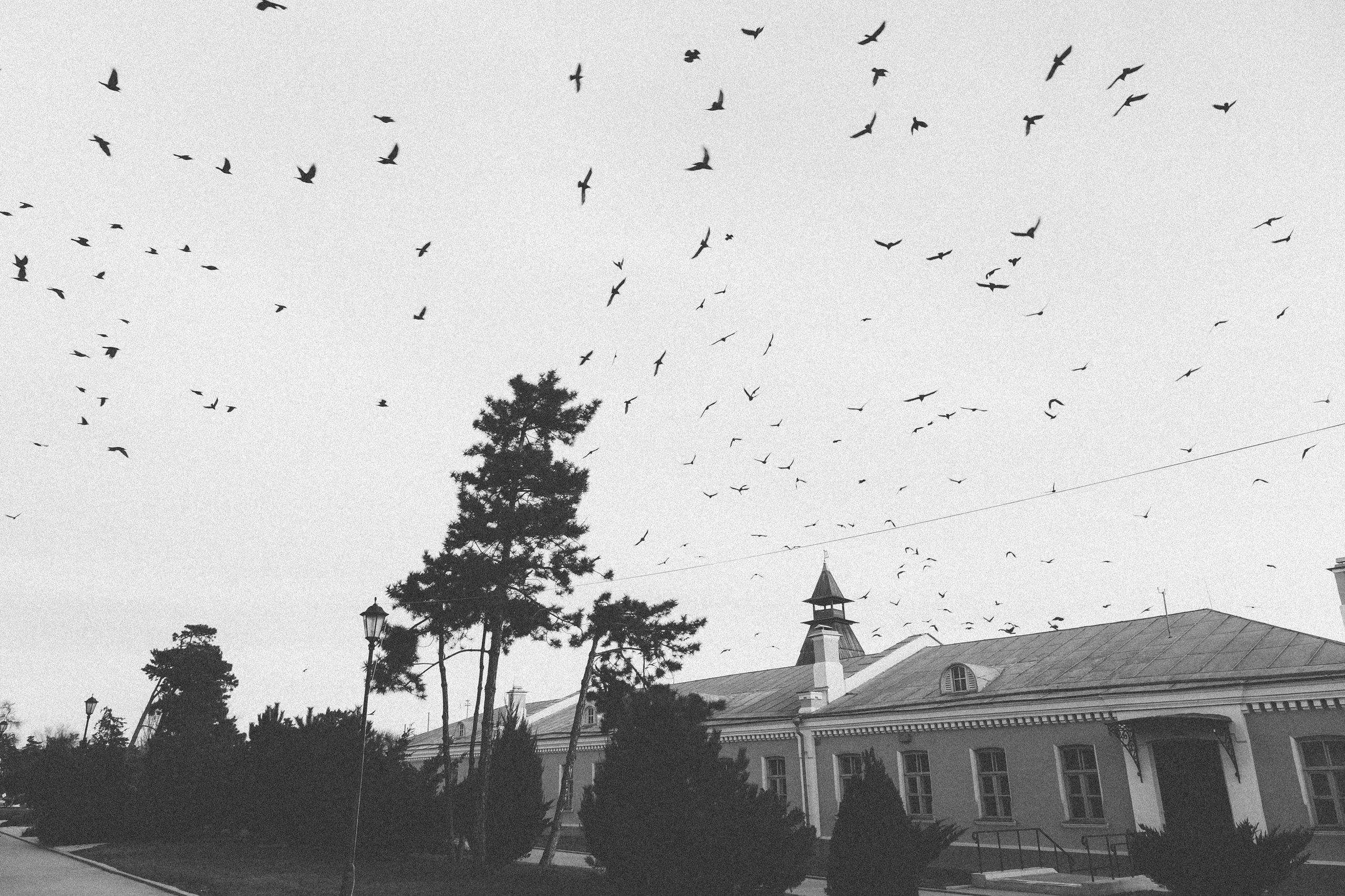 Розовый закат. Фотограф Анатолий Деникин