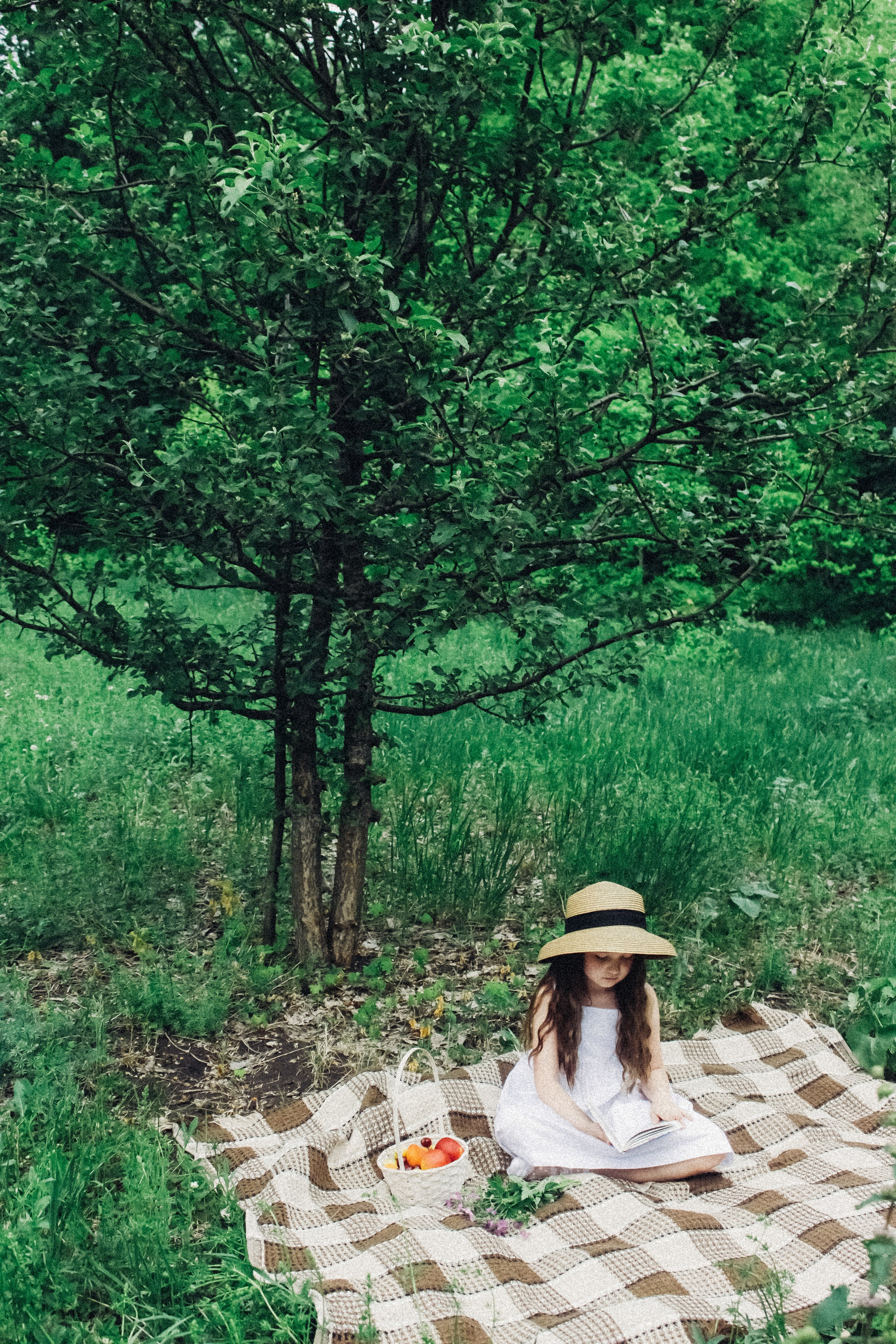 Софа. Главная