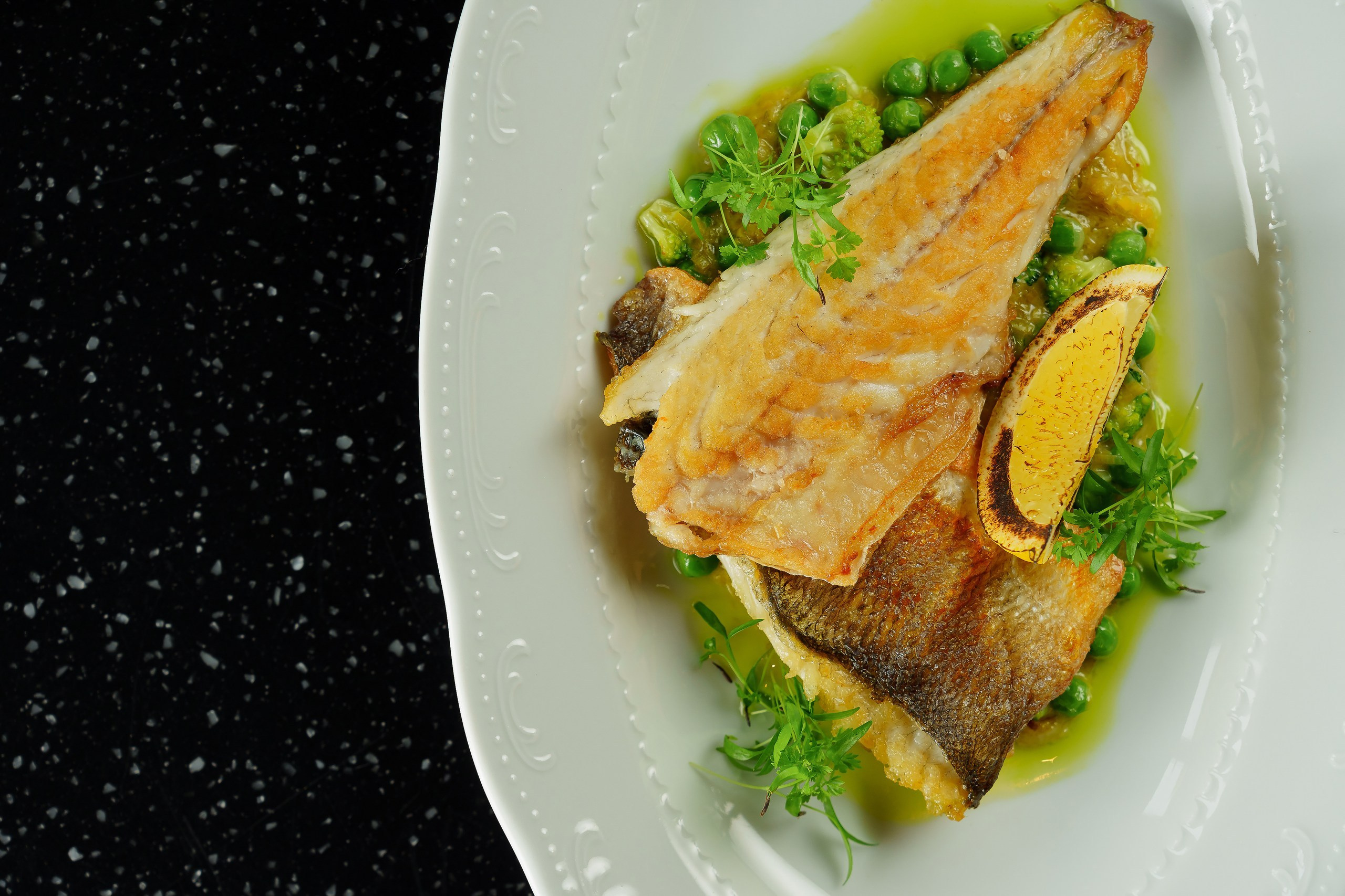 Roze. Night2Day Санкт-Петербург