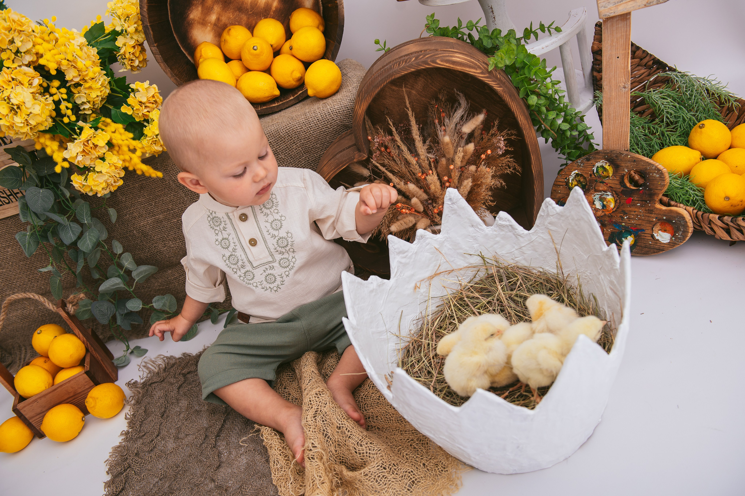 Цыплята. Детский фотограф Магадан