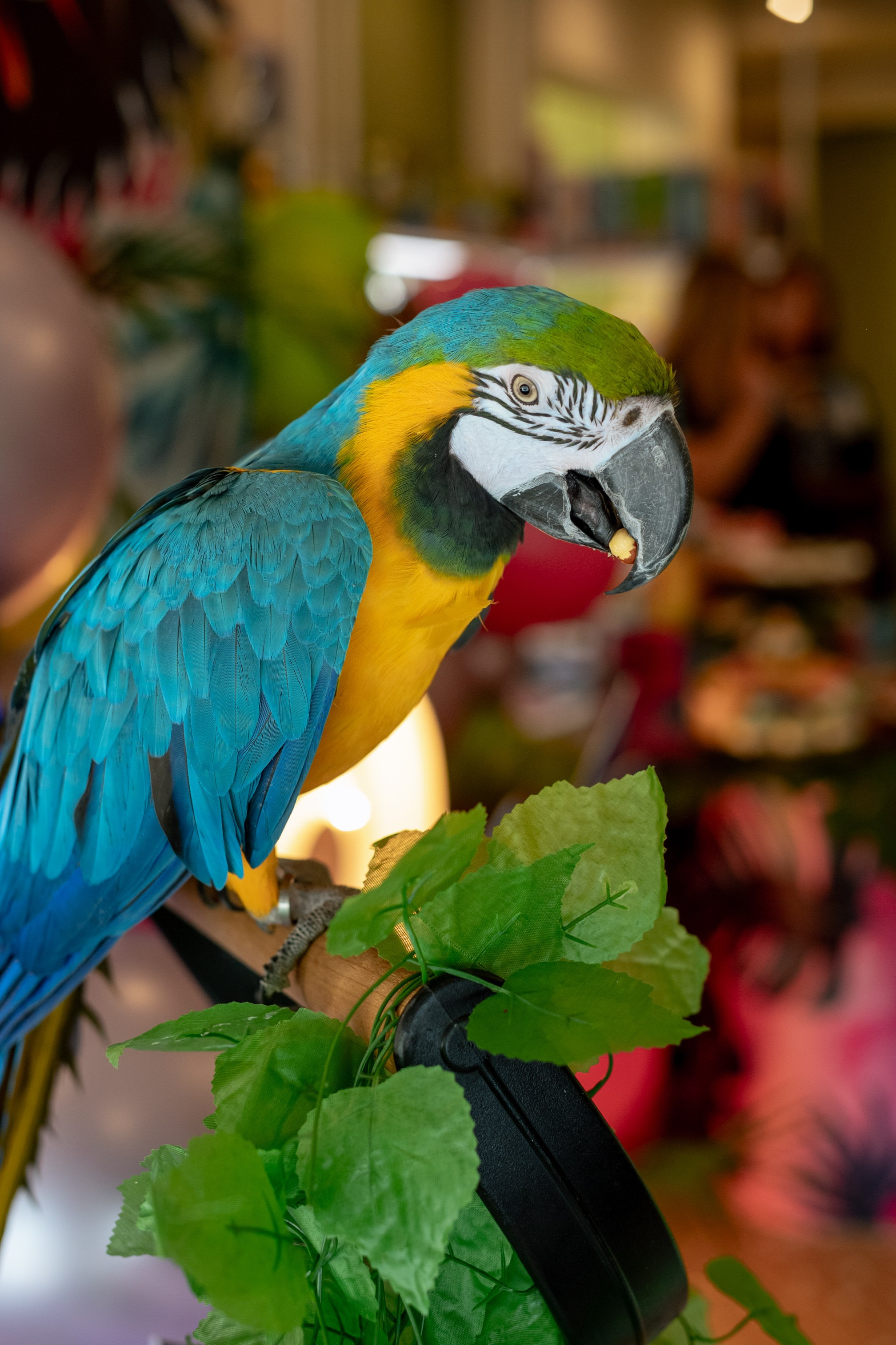 Детские Праздники