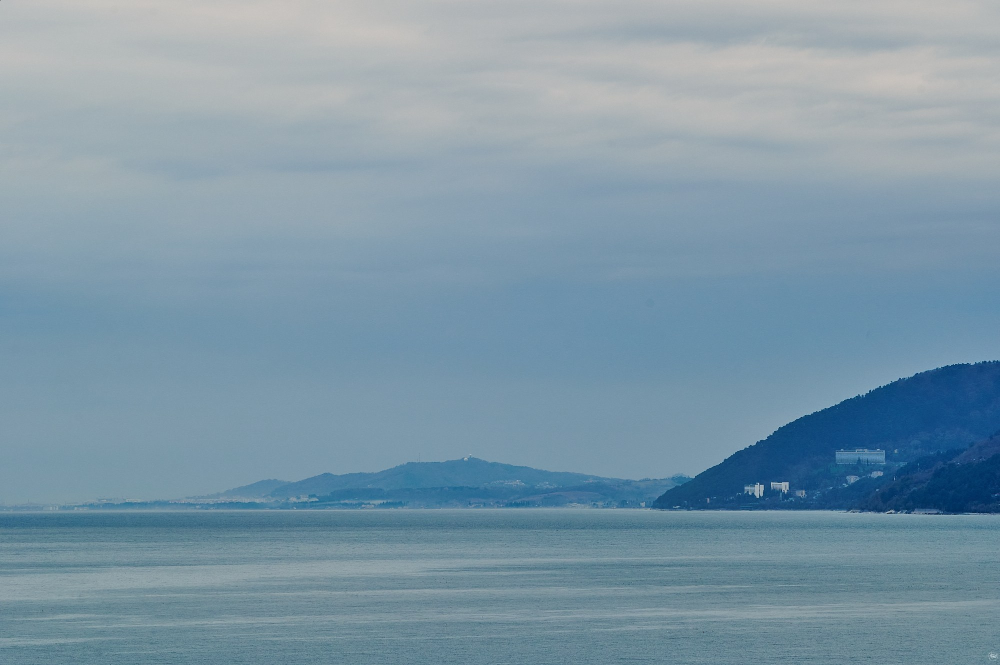 Гагра, Абхазия. Декабрь 2024. Фотографии отовсюду и обо всем