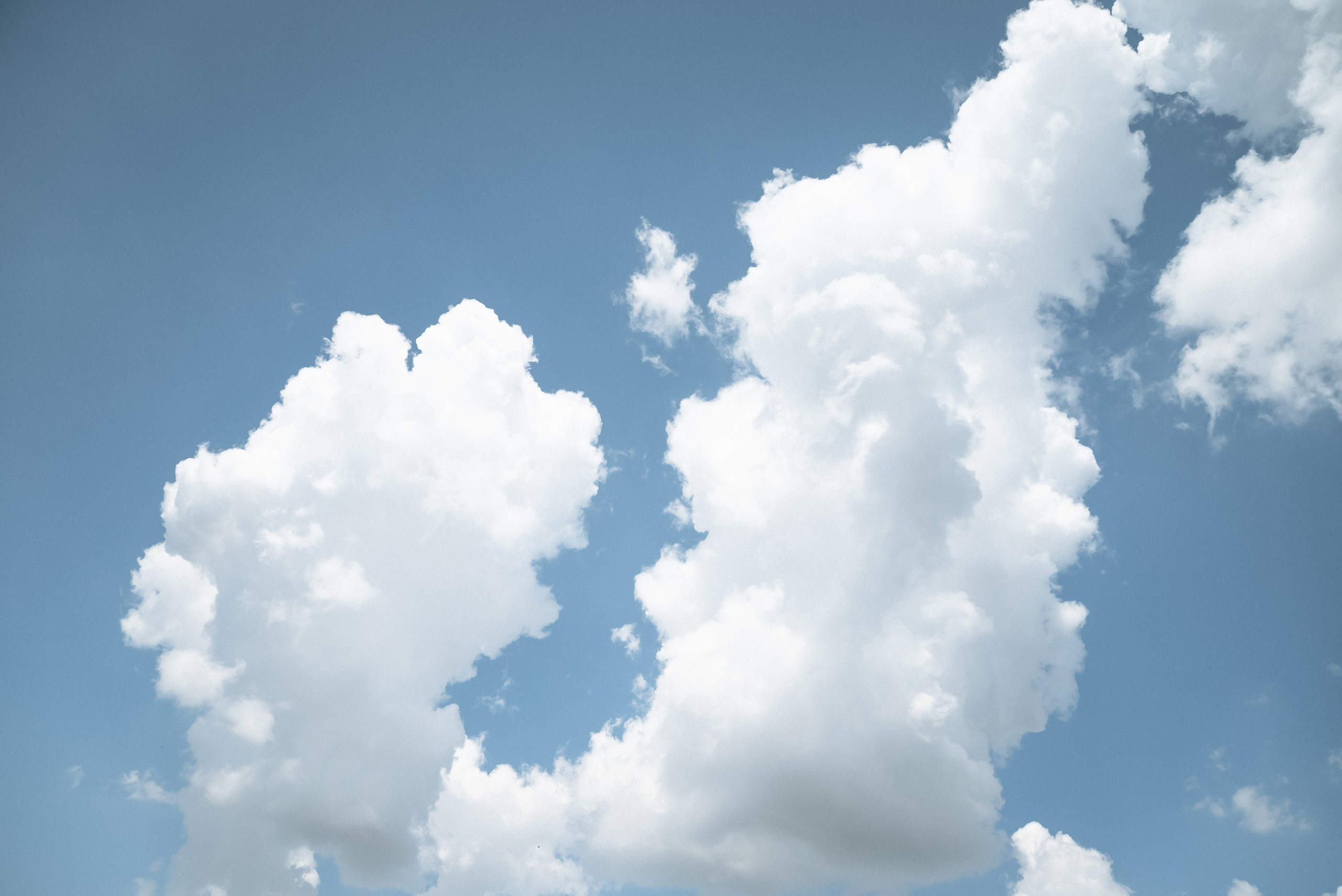 Корпоратив 5 лет компании. Фотограф в Краснодарском крае Александр Шульга