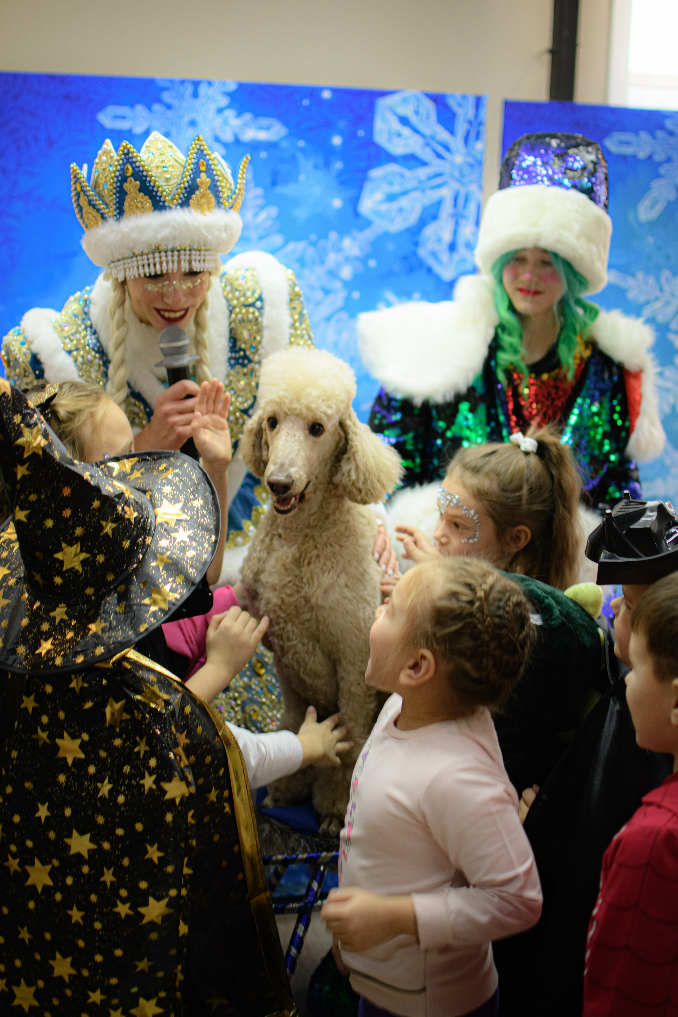 HAPPY NEW YEAR. Photokarish