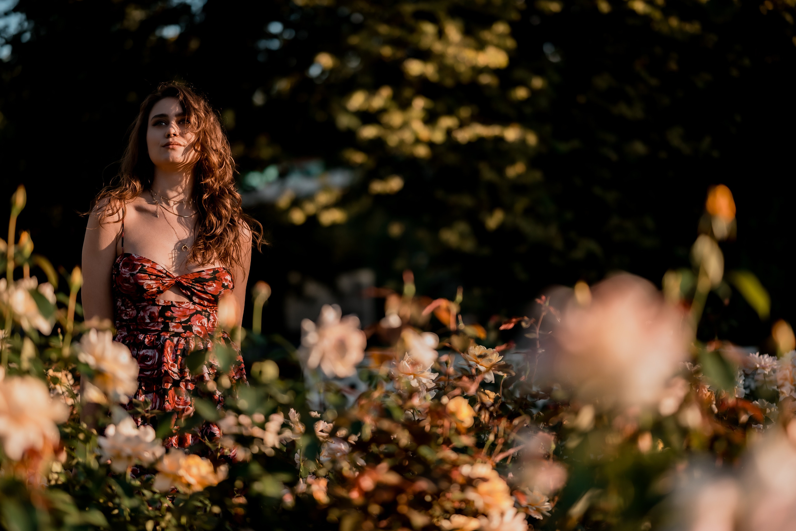 Последние дни лета. Фотограф Дарья Сафонова Dashulkacss