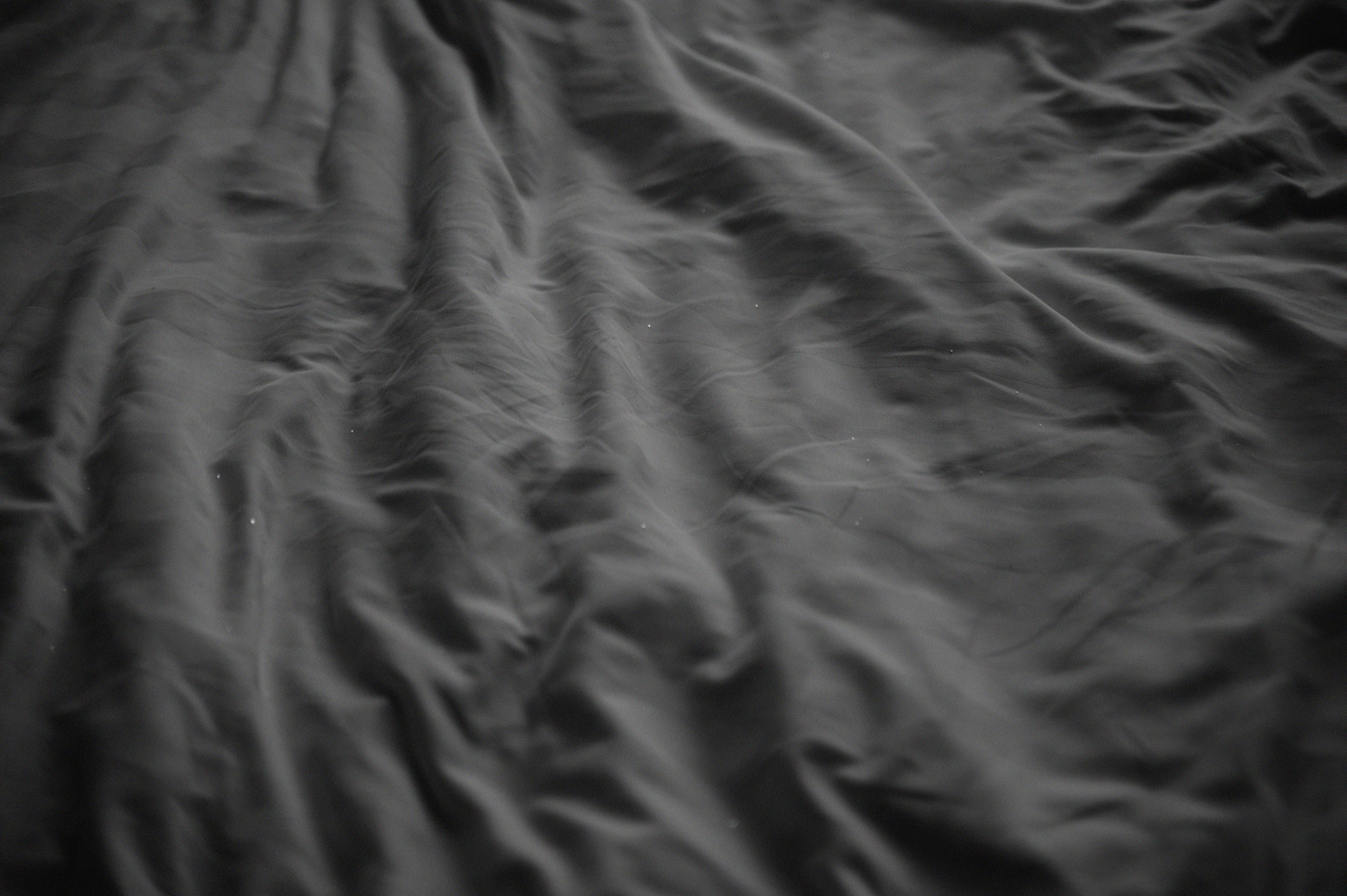 Женя|Аня. Свадебный и портретный фотограф Анастасия Тетёркина, Брянск и Санкт-Петербург