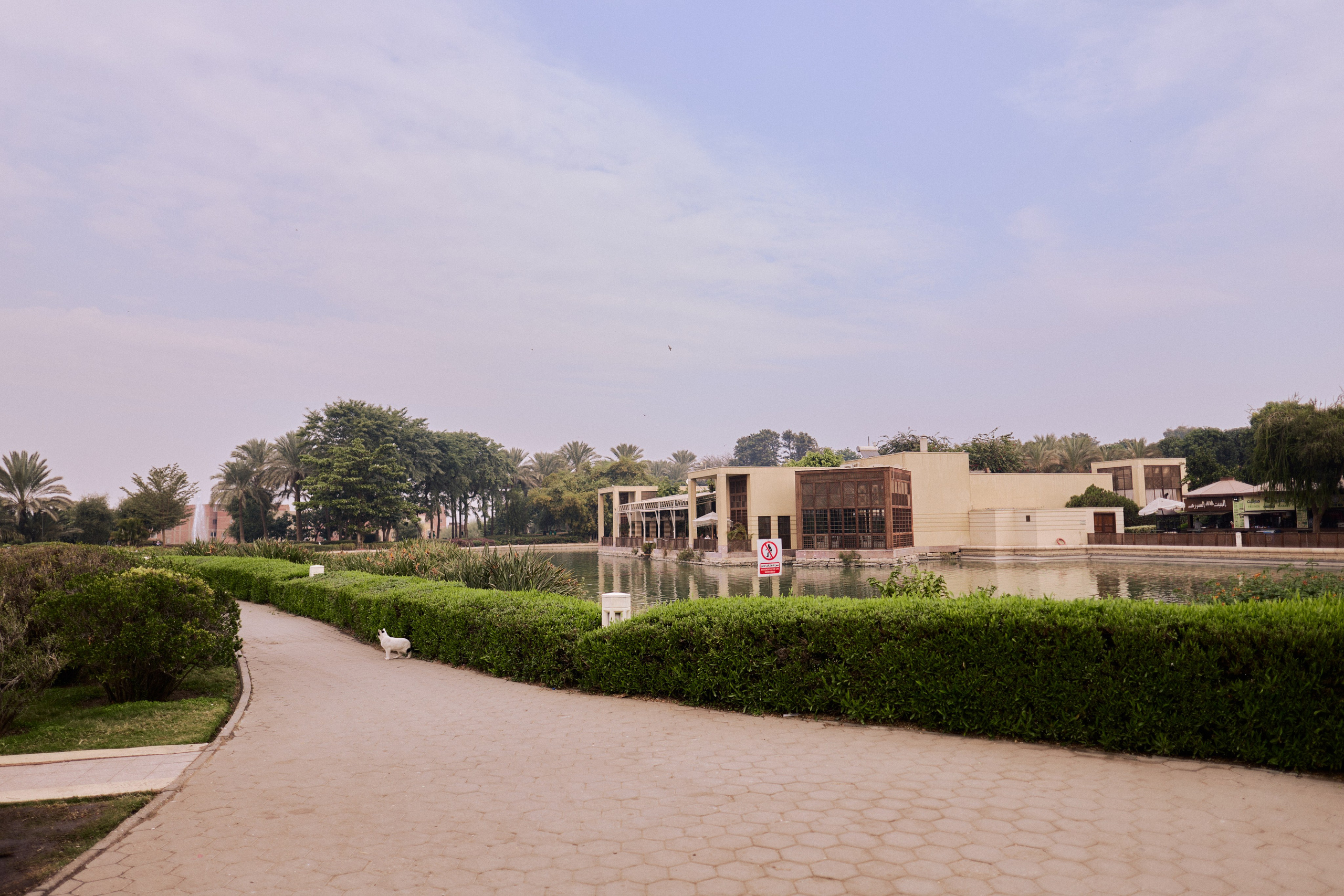 Другое 4. Jorgis — фотограф в Хургаде / обучение фотографии