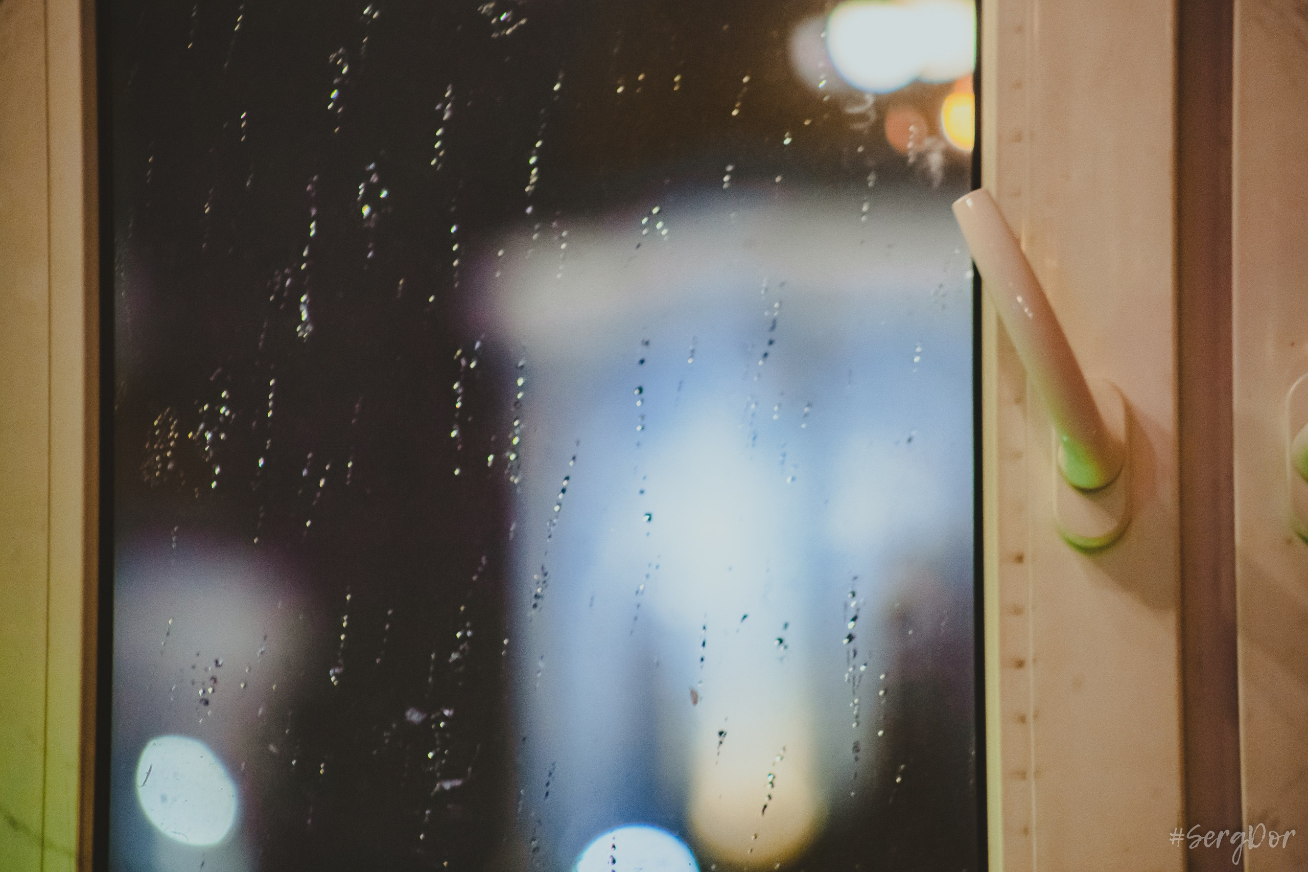 Рома Гонза, Ваня Пинженин, Квартирник у Мищенко, поэты, стихи, совершеннолетие, Санкт-Петербург, Питер, 16.11.2024, SergDor, 16 ноября 2024 года, #SergDor