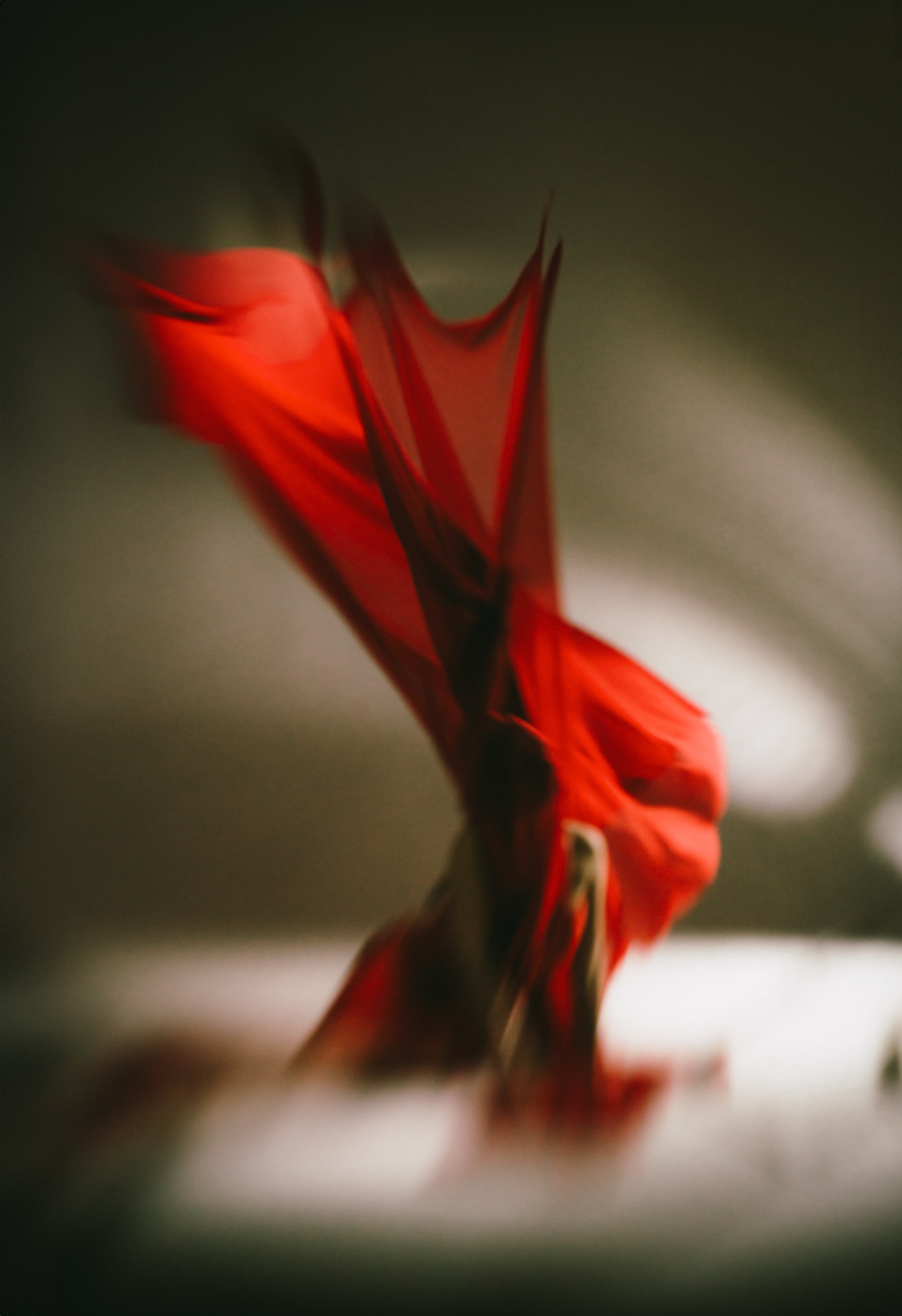 Портретный и семейный фотограф Наталия Гаврилина, Саратов — Москва