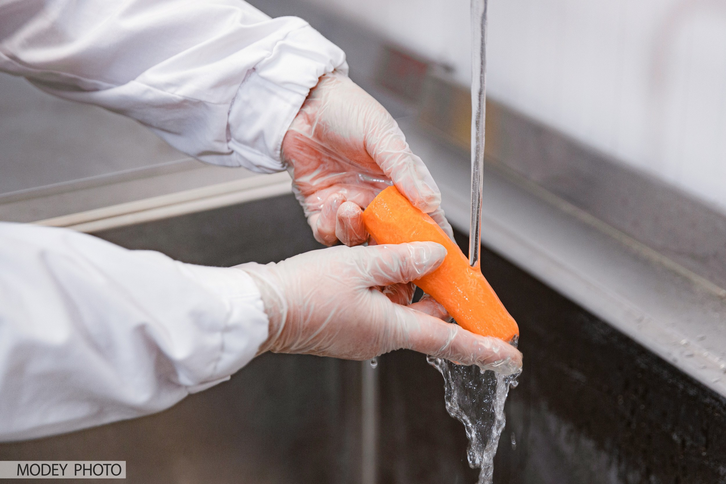 Производственный процесс пищевого цеха