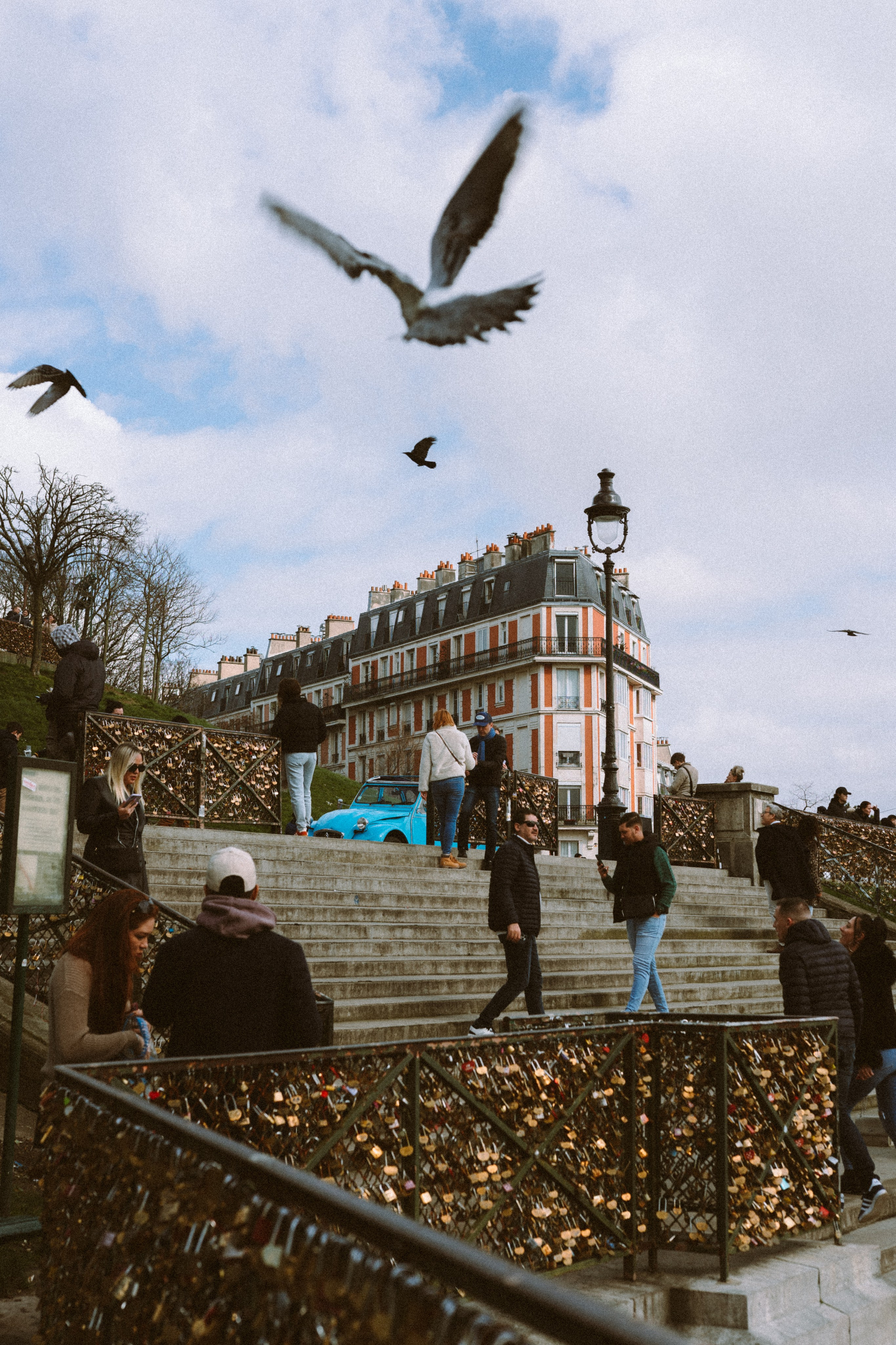 Франция. Фотограф в Санкт-Петербурге