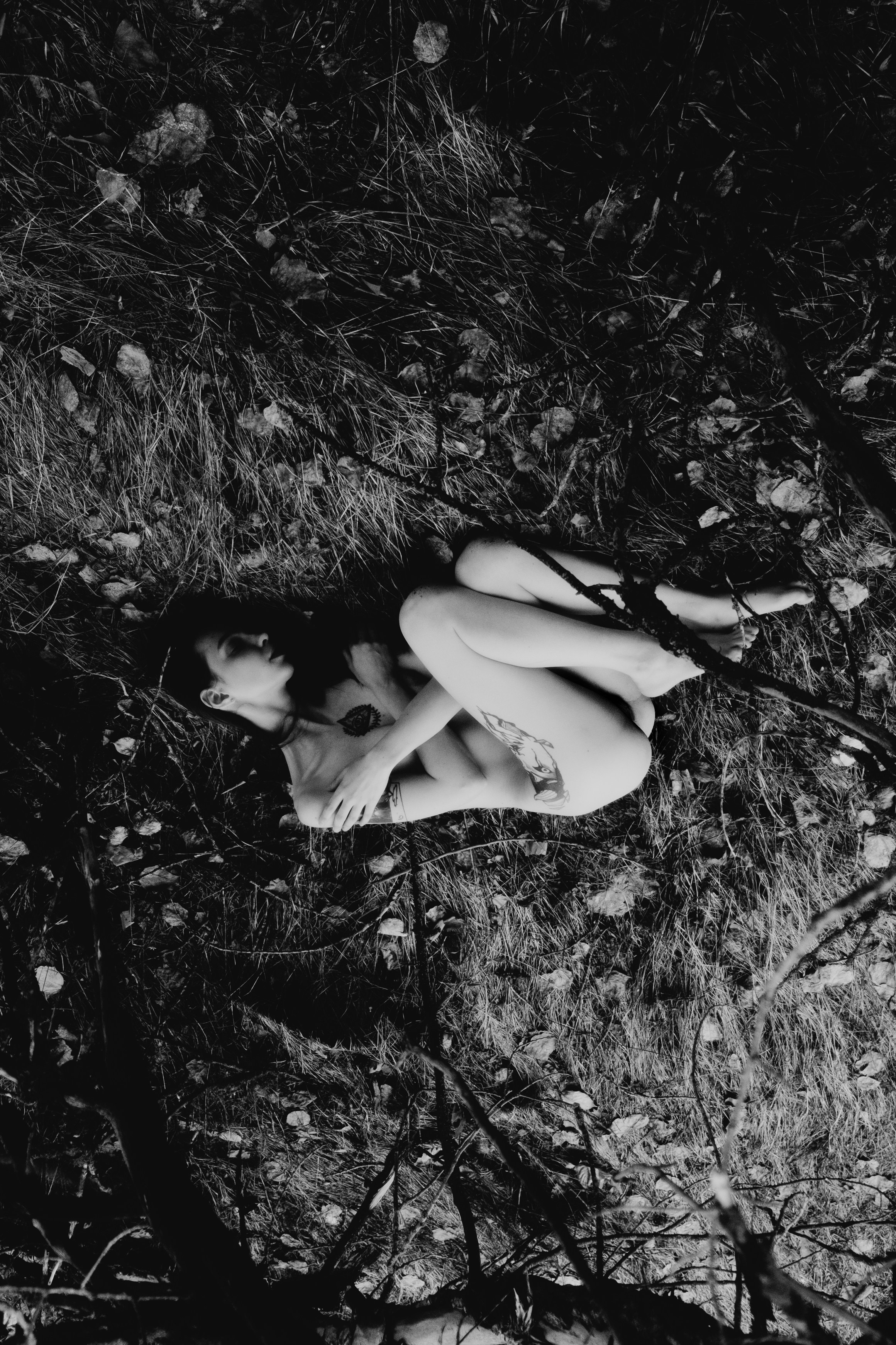 Анастасия. Лес. Дмитрий Пропадалин, Нейрофотография