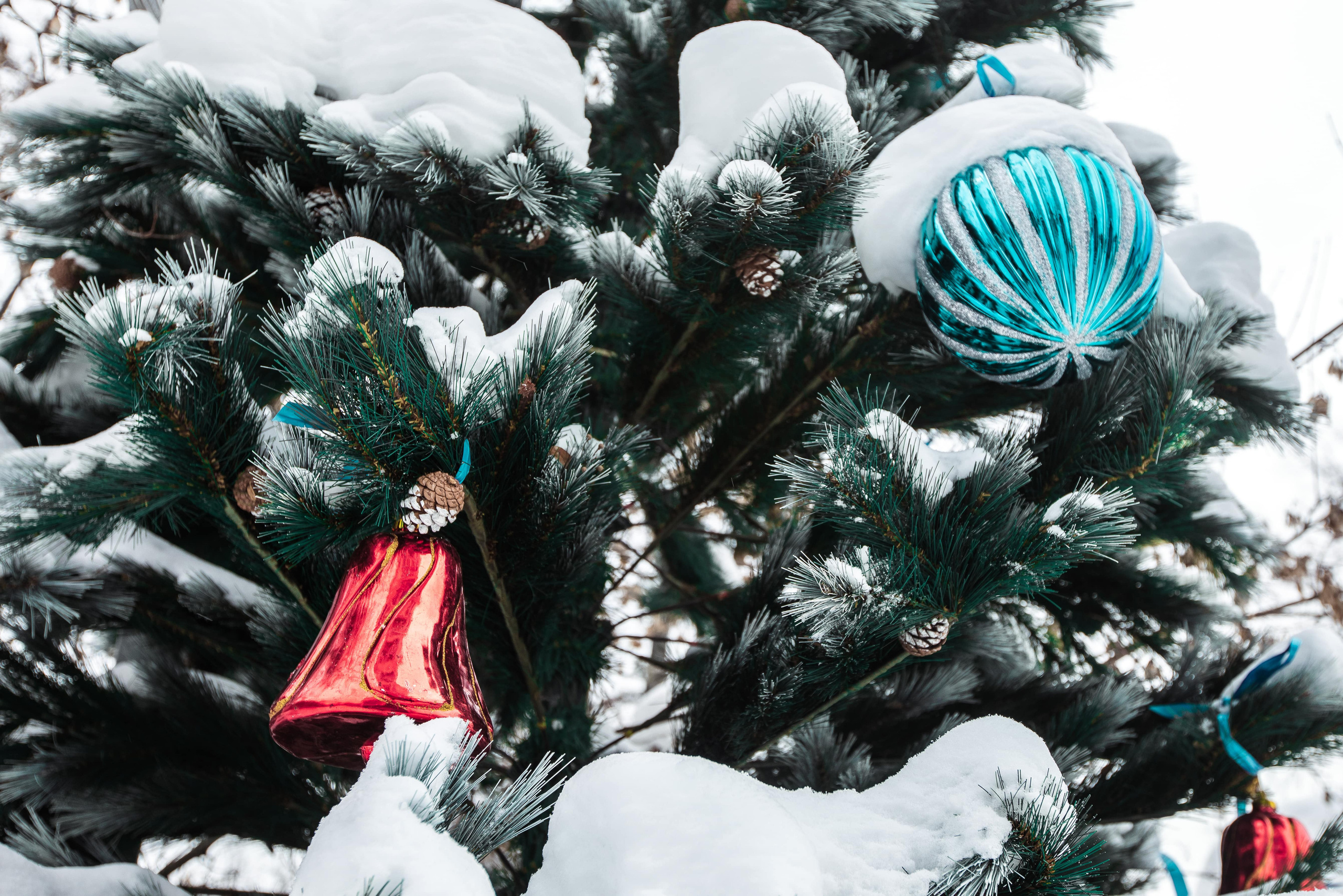 Анна и Алексей. Фотосессии в Москве - фотограф Неонилла Ленко