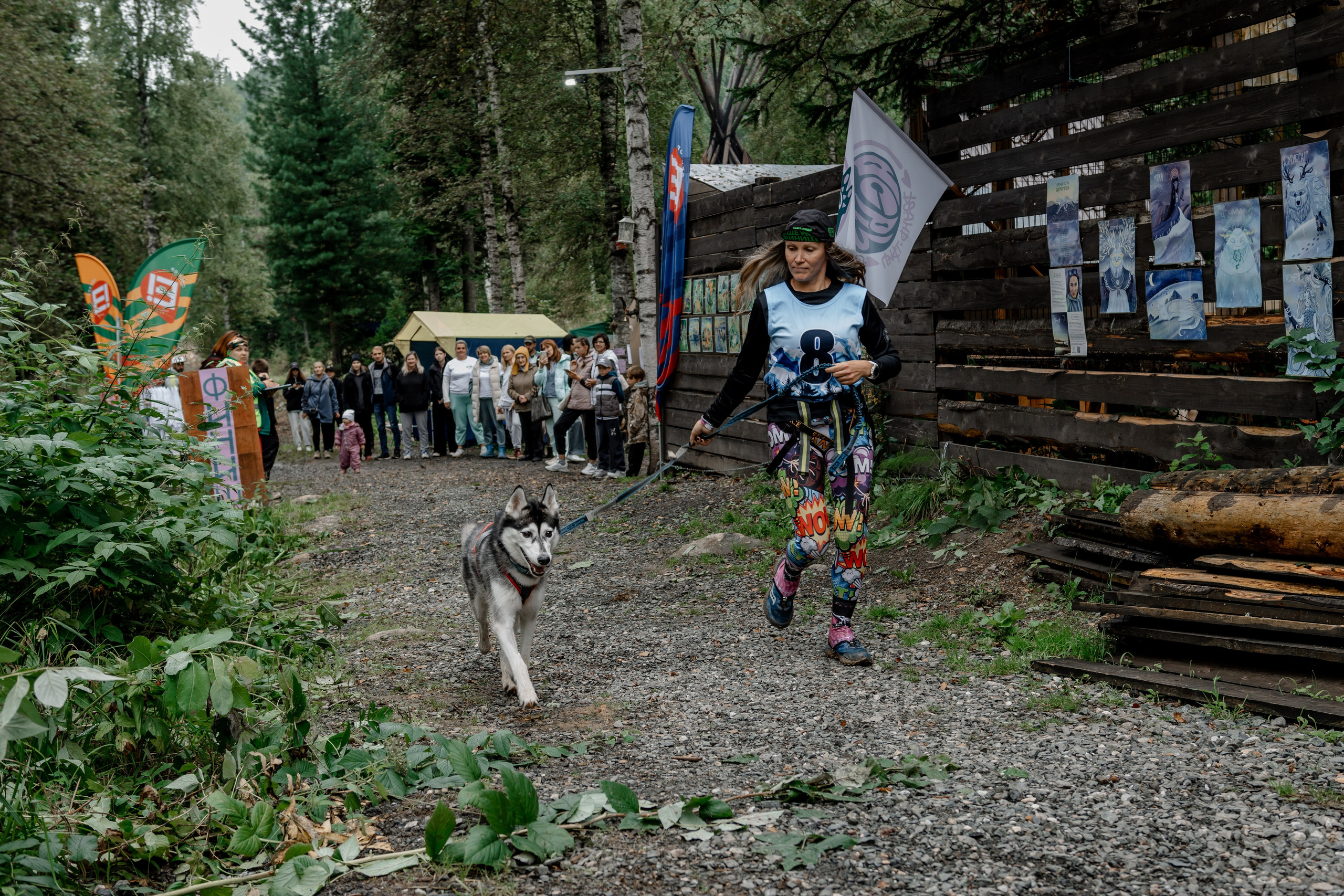 Дог-треккинг