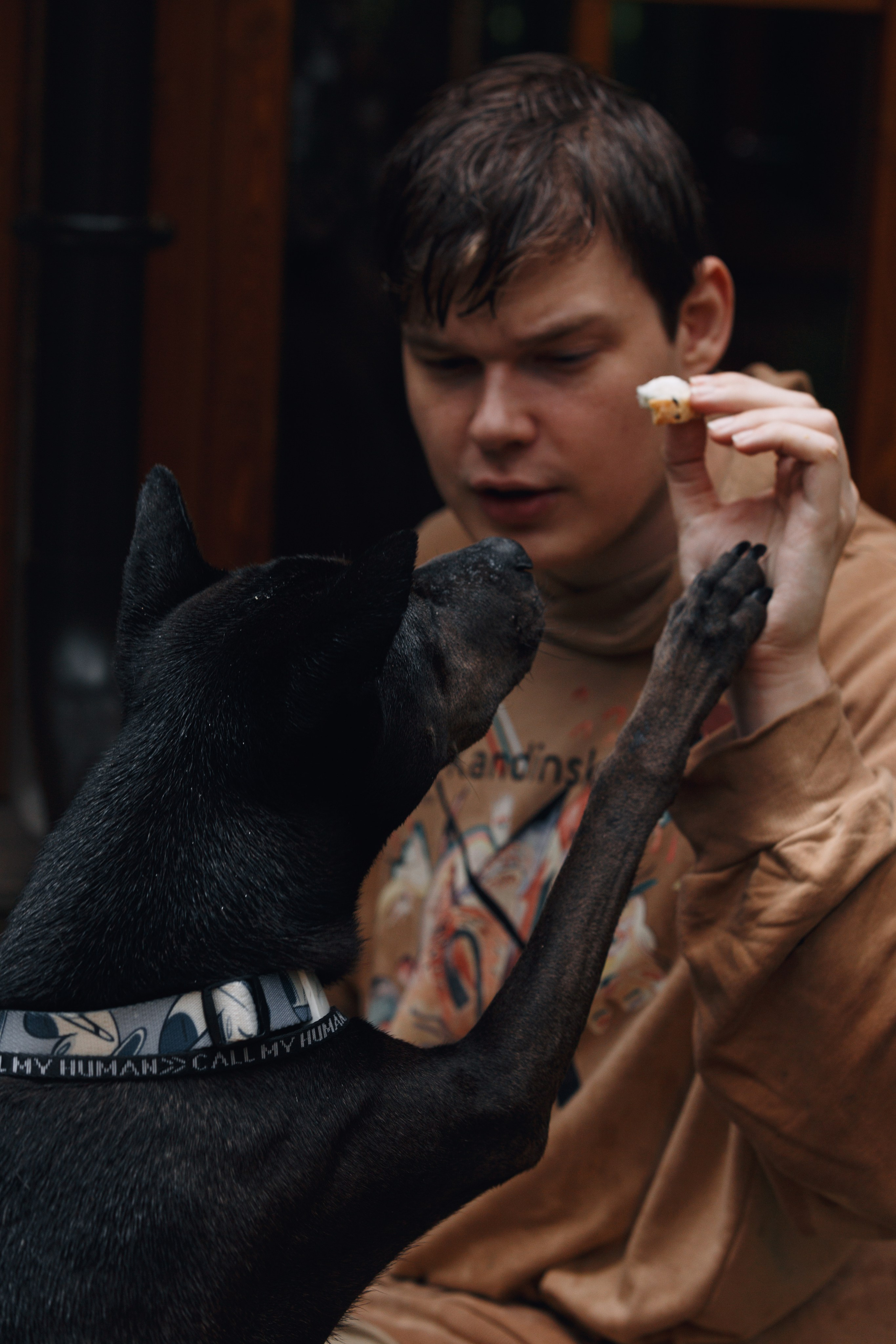 Рэкс, Лена и Вова в Мещерском. Фотограф анималист Кристина Карпова, Москва