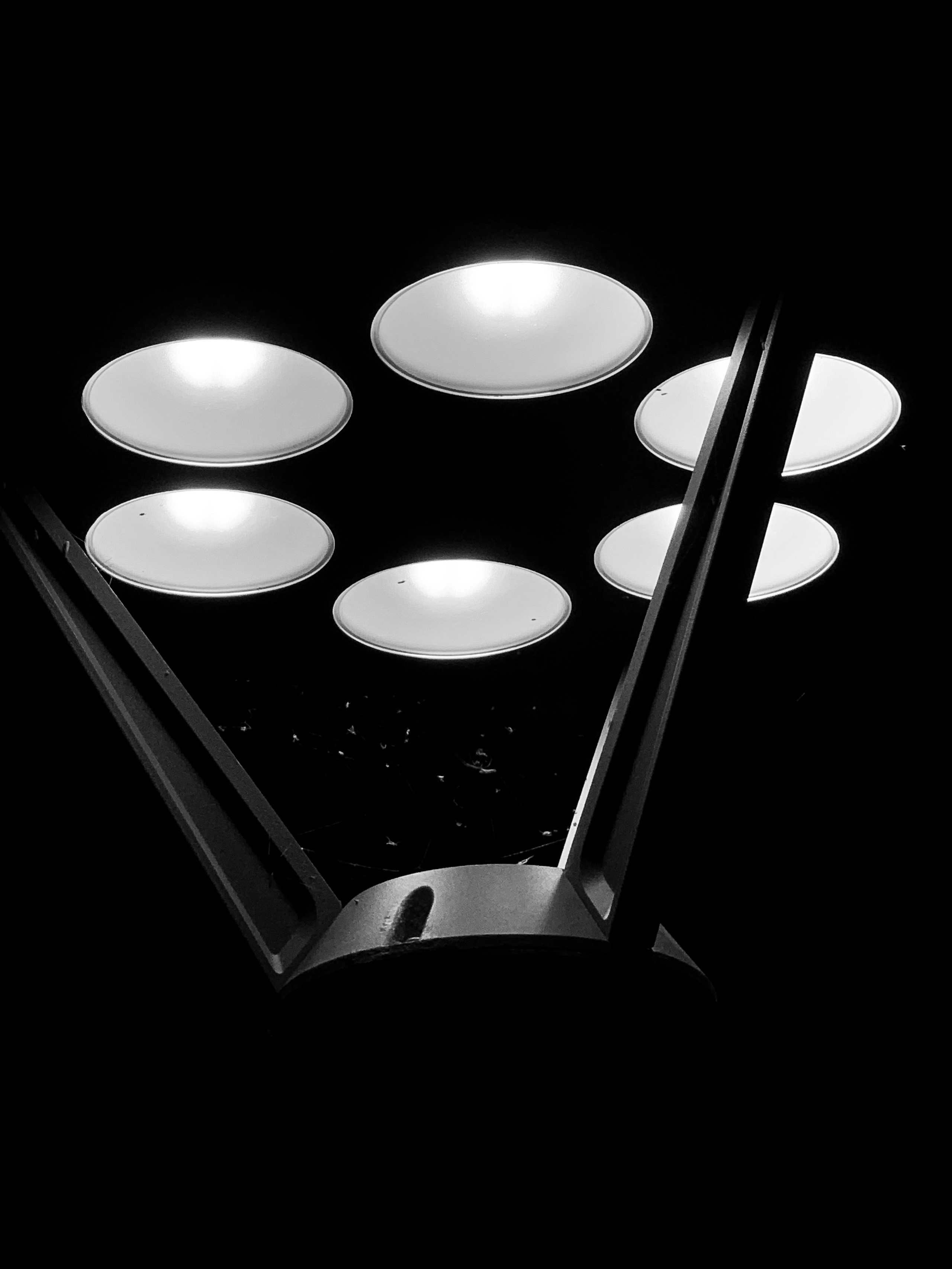 2019 год. Тащилин Сергей. Фотографии. Жизнь. Хобби