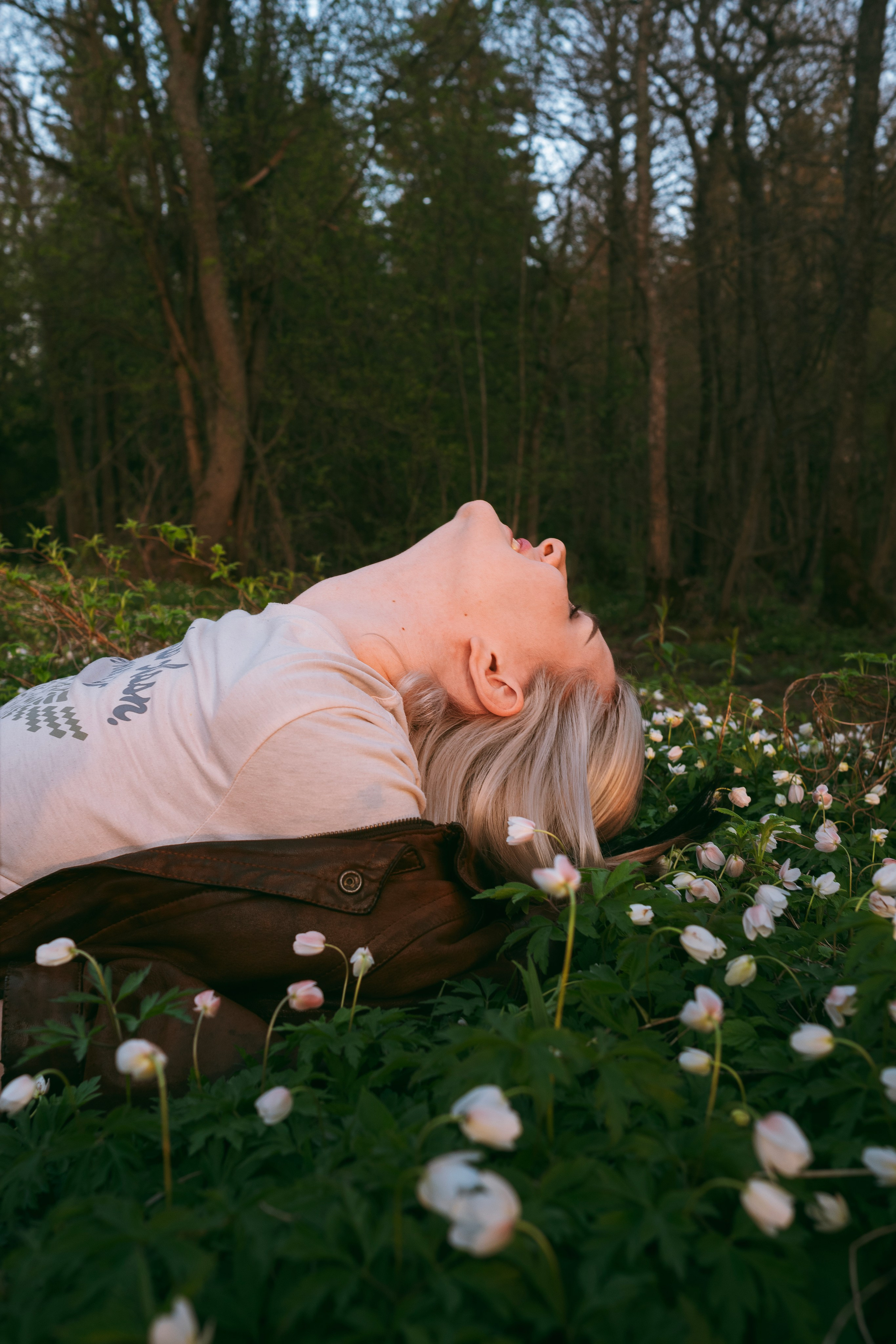 Насто. Главная