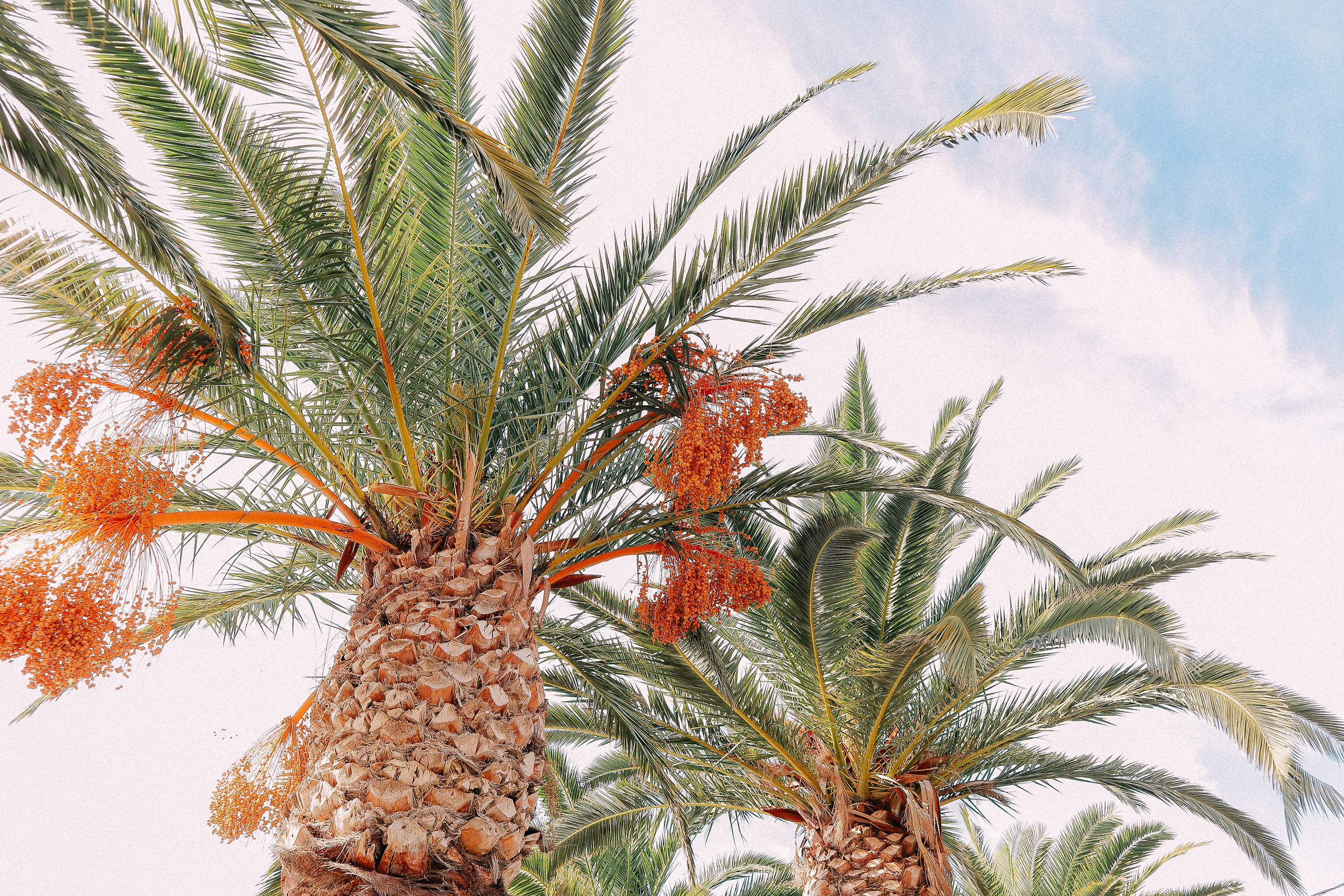 Крит. Аня Степанова