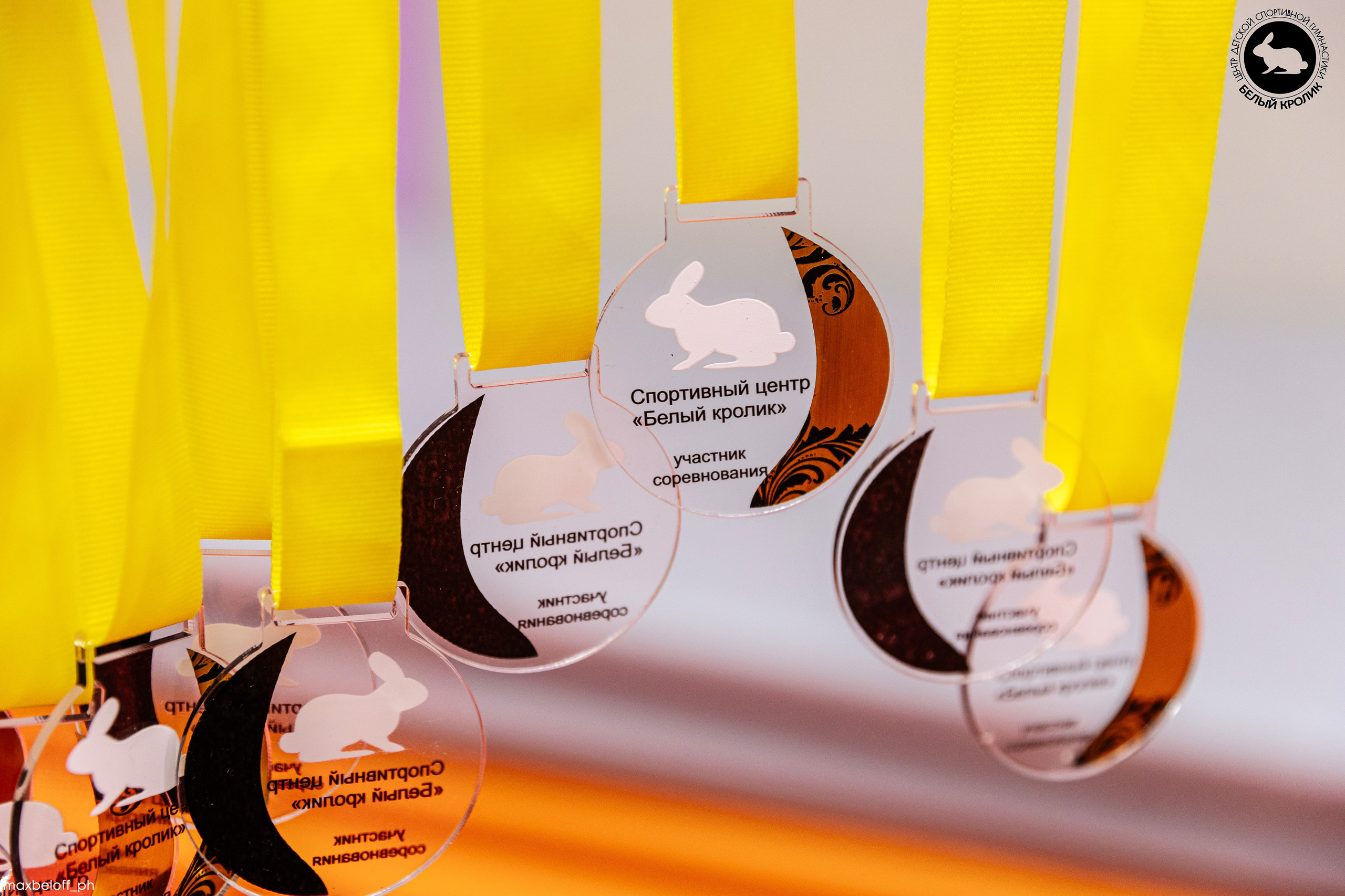 Белый кролик. Соревнования. Семейный фотограф — Макс Белогрудов