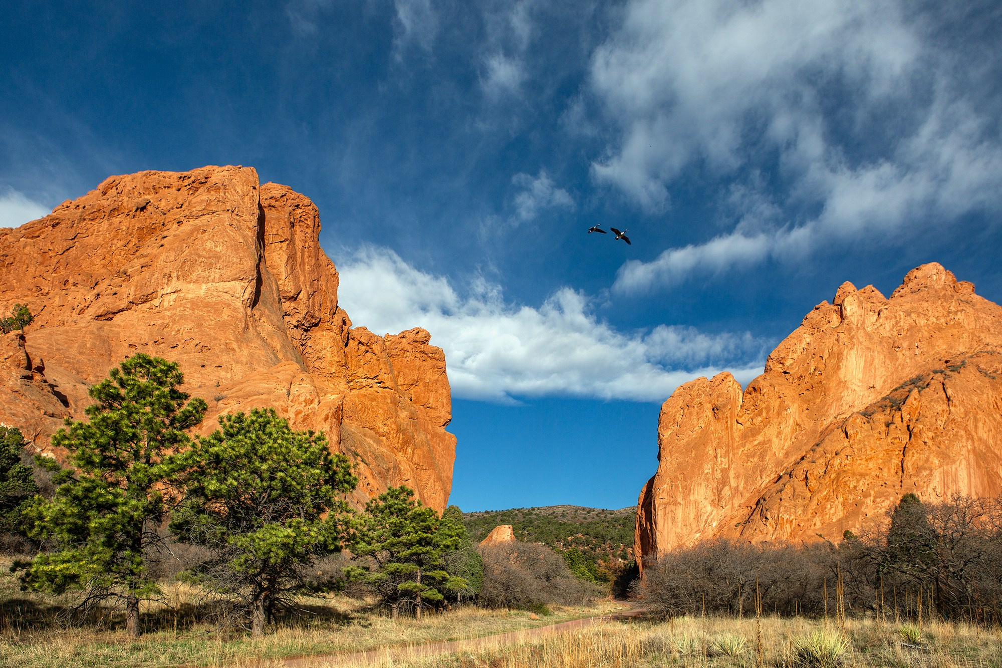 Garden of the Gods, USA. Photographer Vladimir Ostapenko