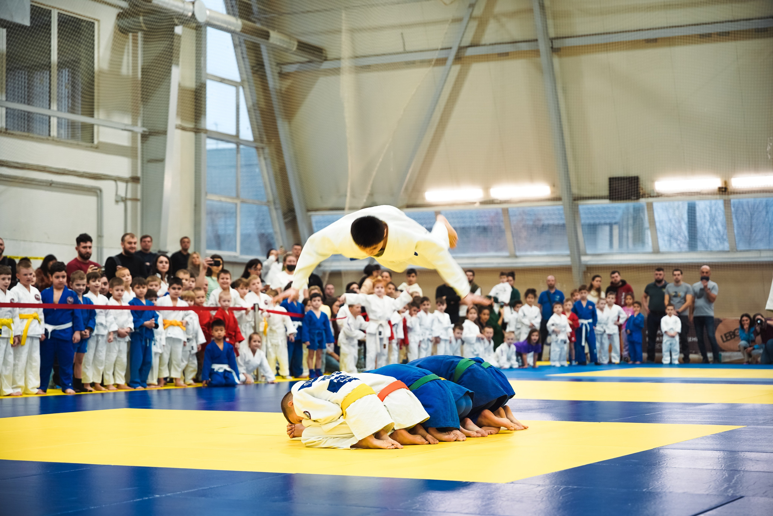 Самбо. Портретный и репортажный фотограф