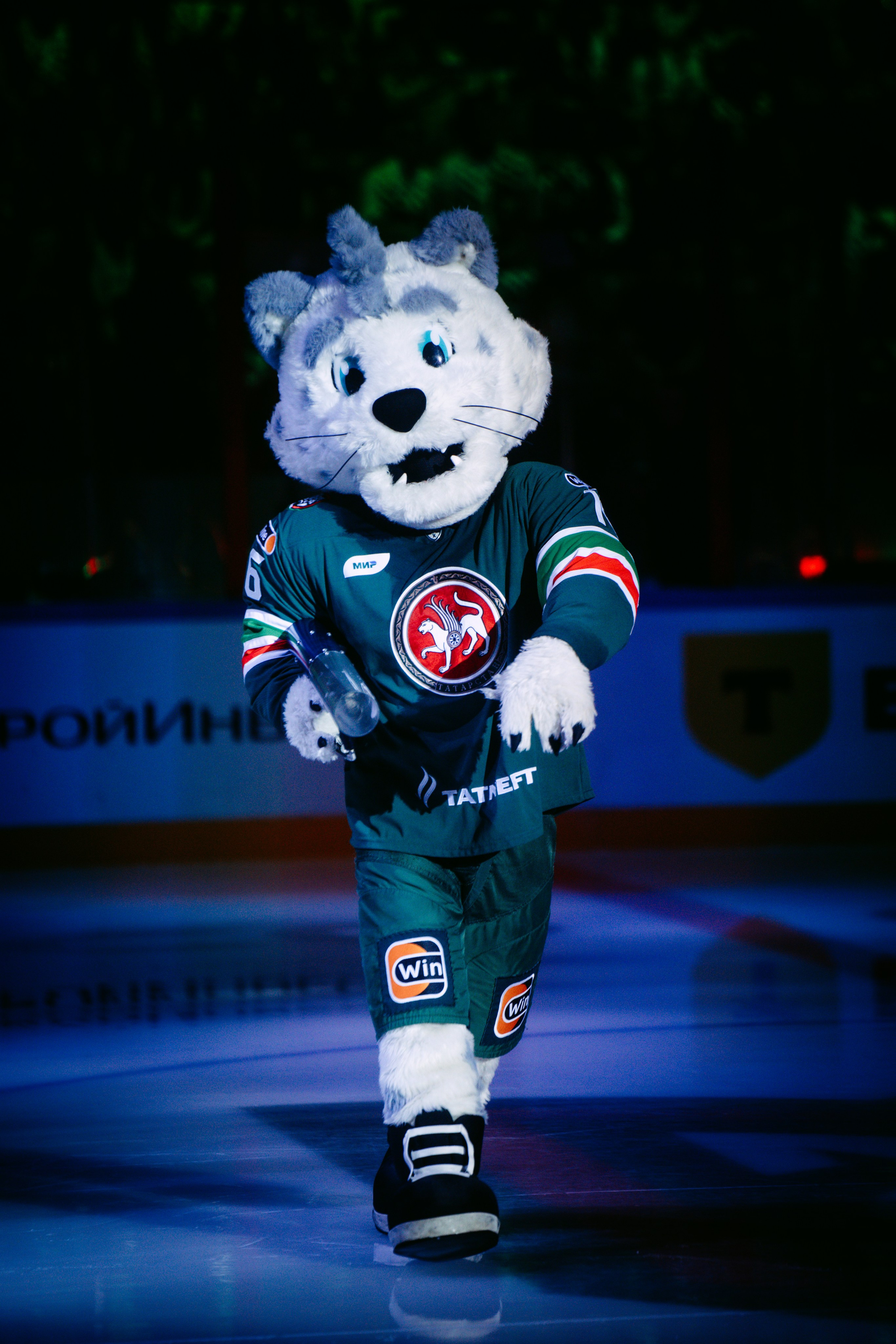 Матч Ак Барс / Металлург. Главная