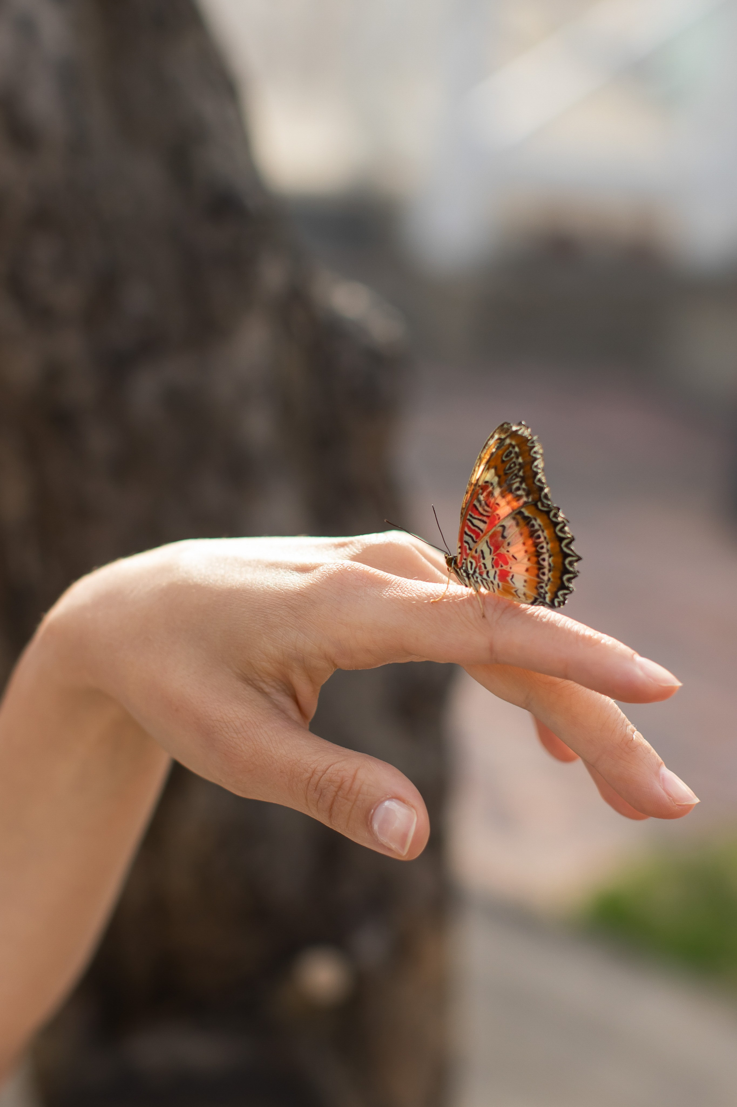 Съемка для проекта: Театрализованный ужин «Один летний день» в отеле Wawelberg. NesterovaMaria.ru