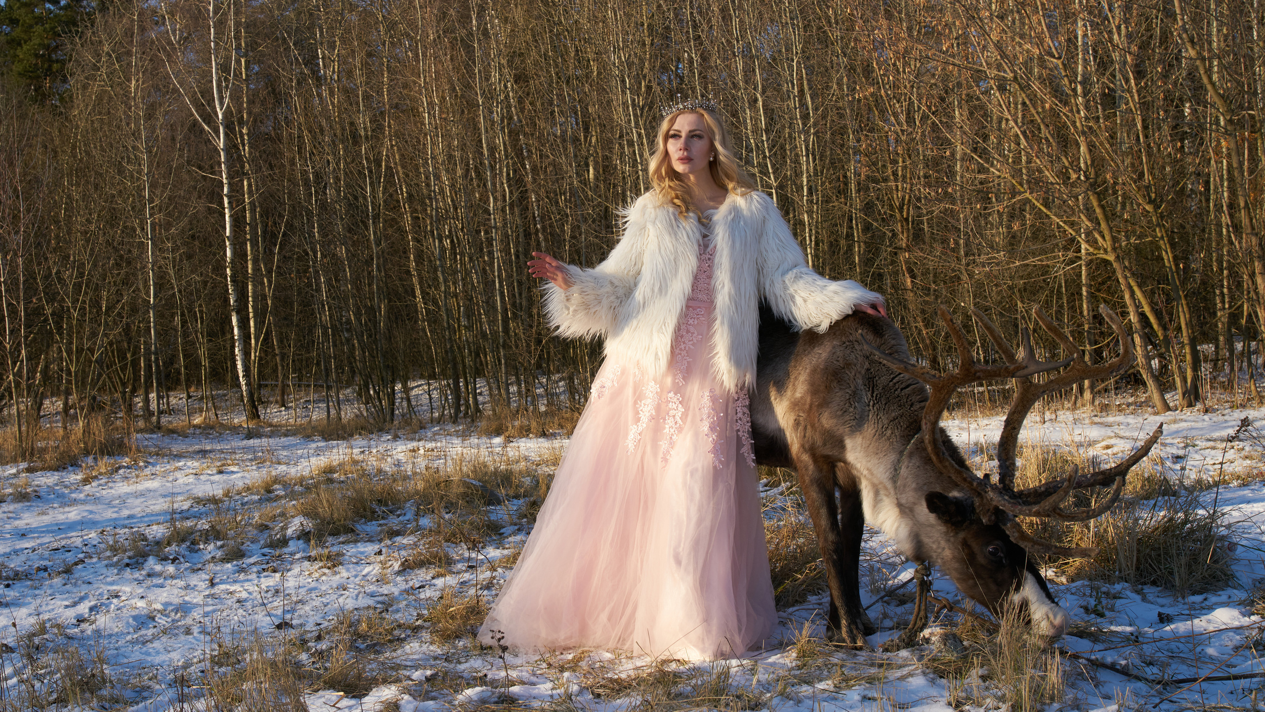 FAQ Hochzeitsfotografie. Zubkov Jan Hochzeitsfotograf Deutschland