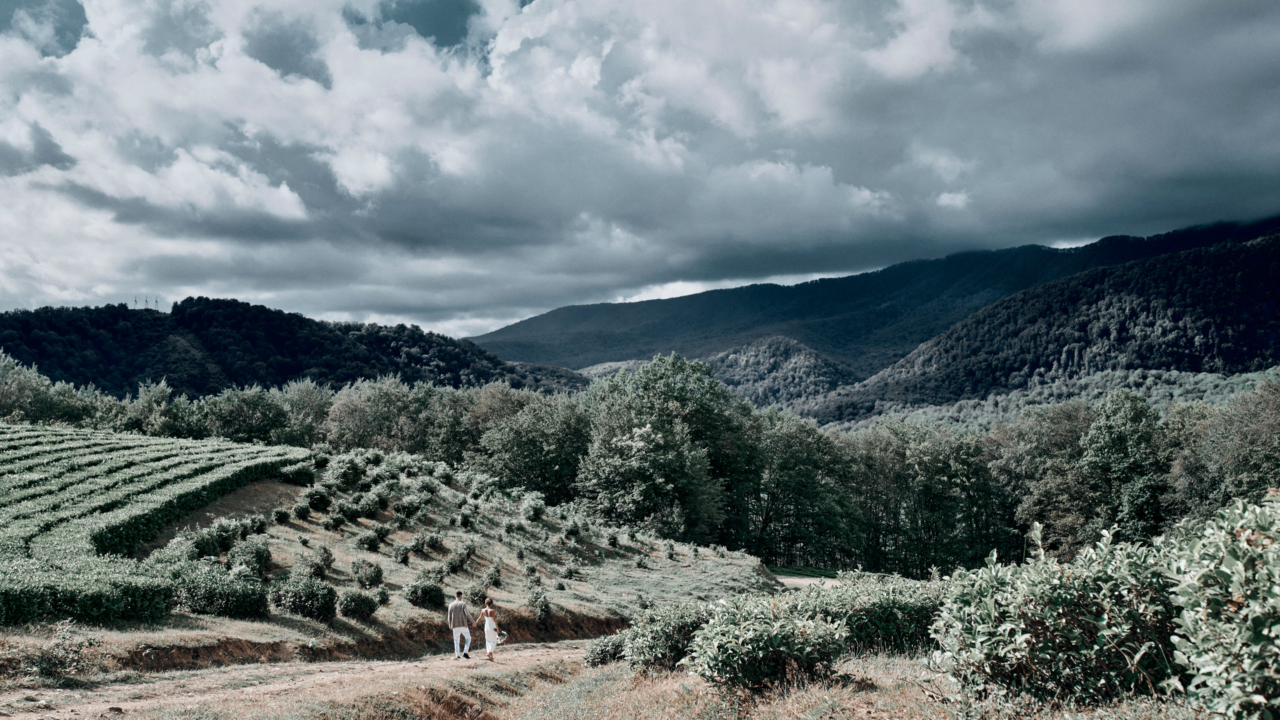 Matsesta. 2021. Главная